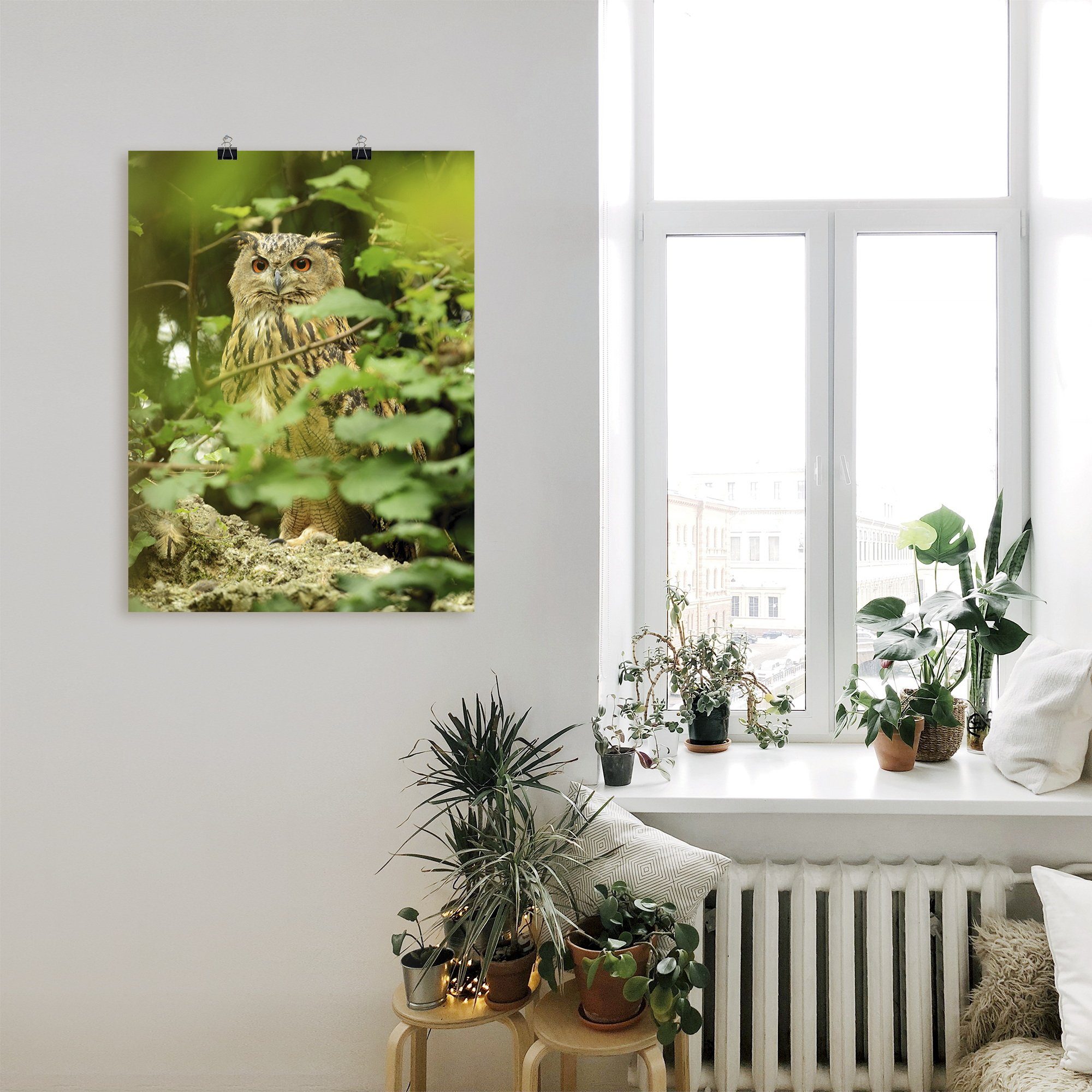 Artland Artprint Vogel oehoe als artprint op linnen, poster in verschillende formaten maten