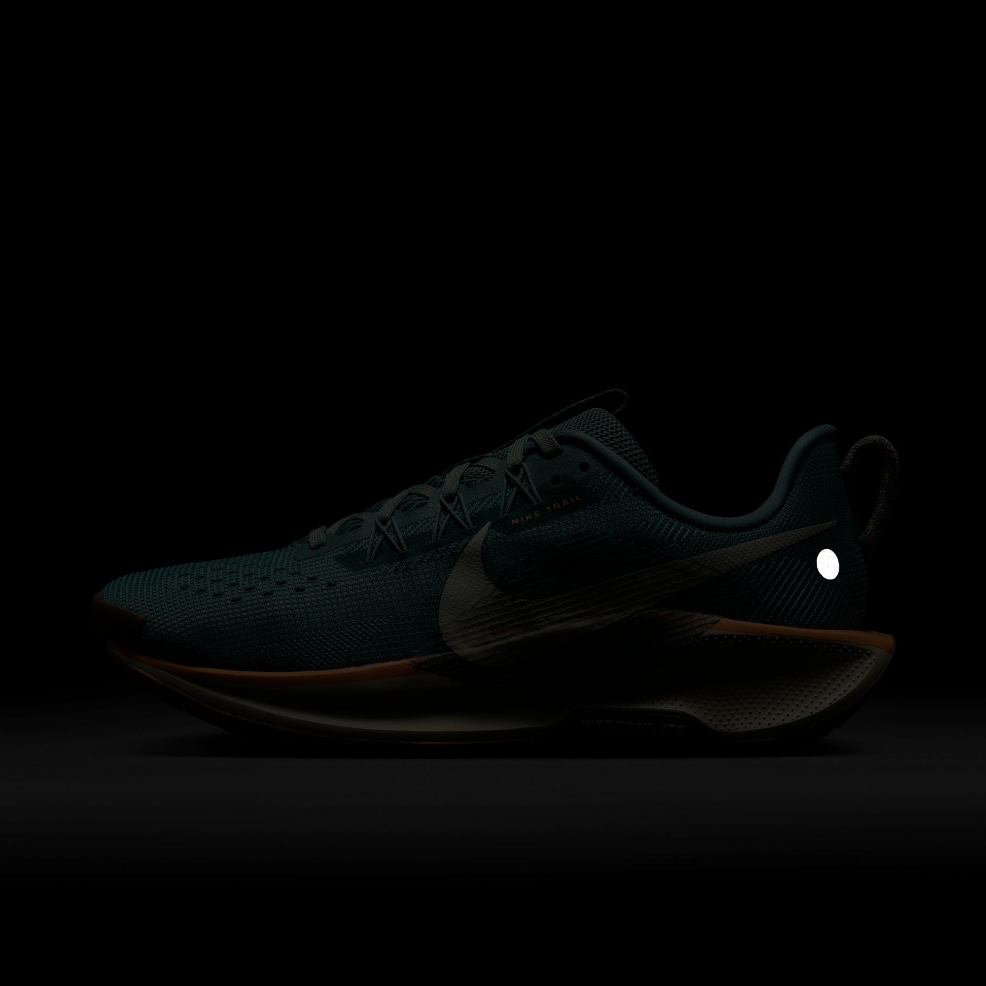 Nike Trailrunningschoenen W REACTX PEGASUS TRAIL 5