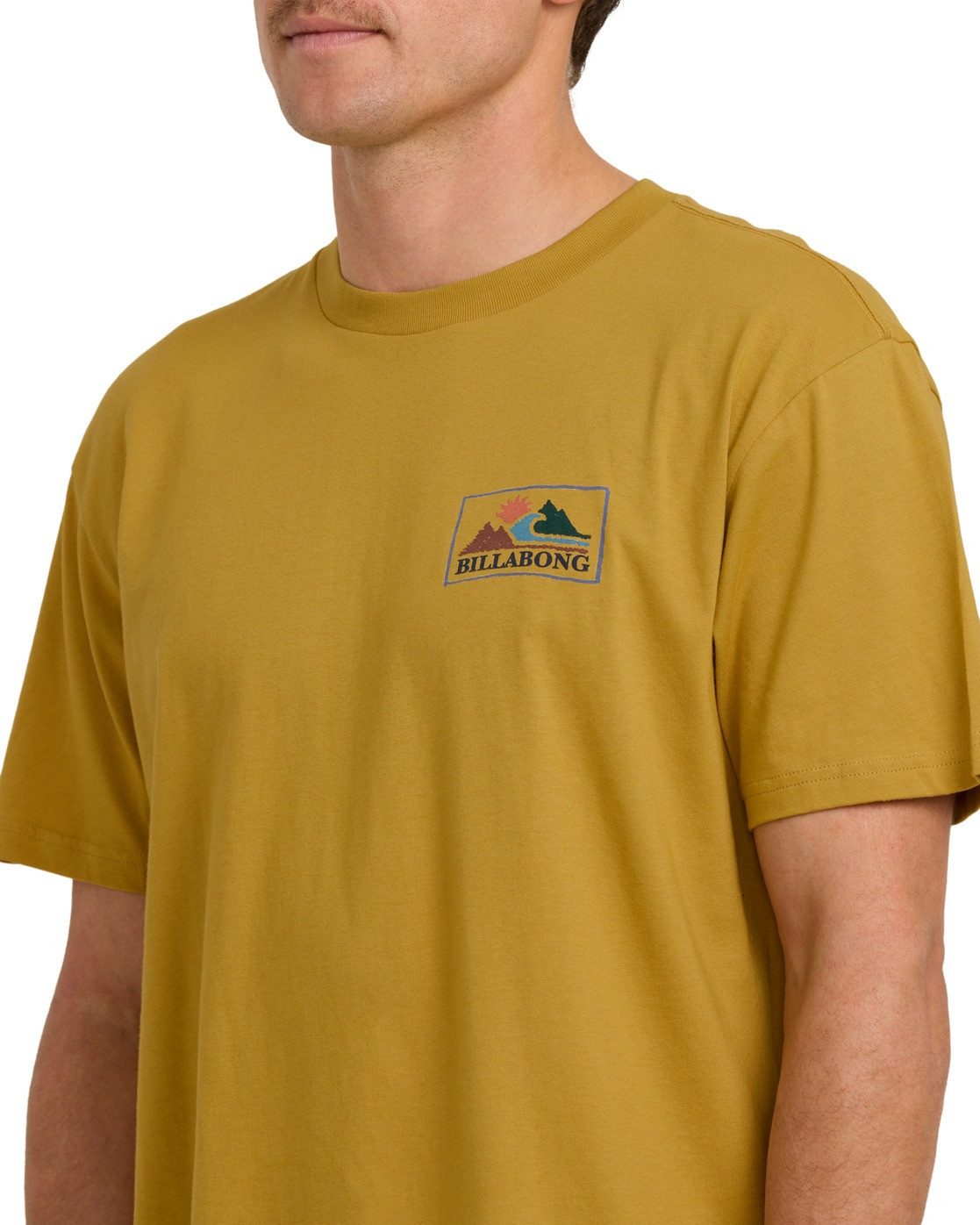 Billabong T-shirt Range A/DIV