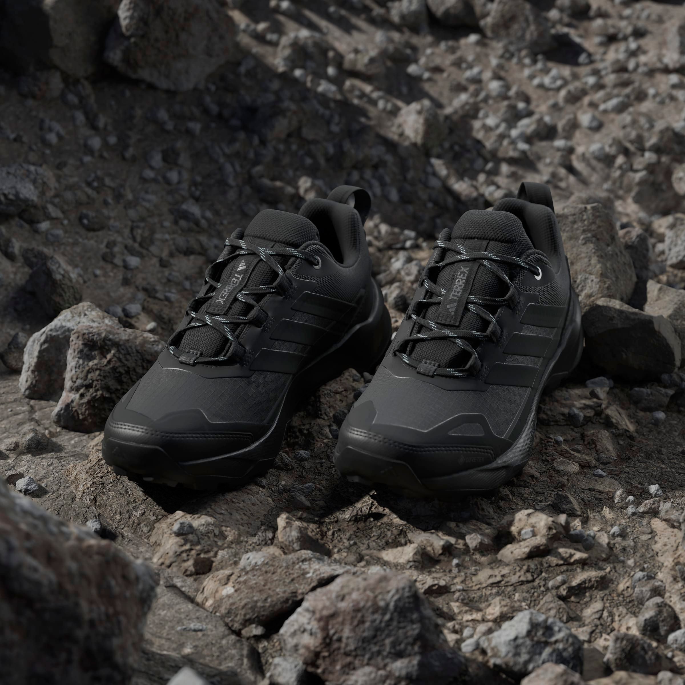 adidas TERREX Wandelschoenen TERREX SKYCHASER AX5 GORE-TEX E