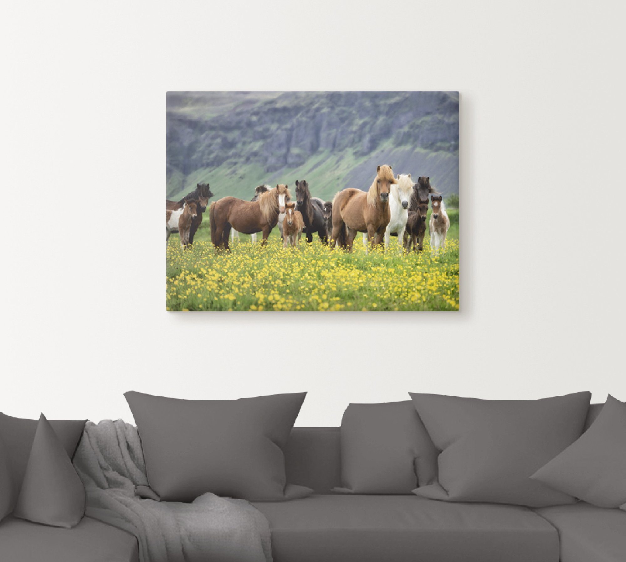 Artland Artprint IJslandse paarden VII als artprint op linnen, poster, muursticker in verschillende maten