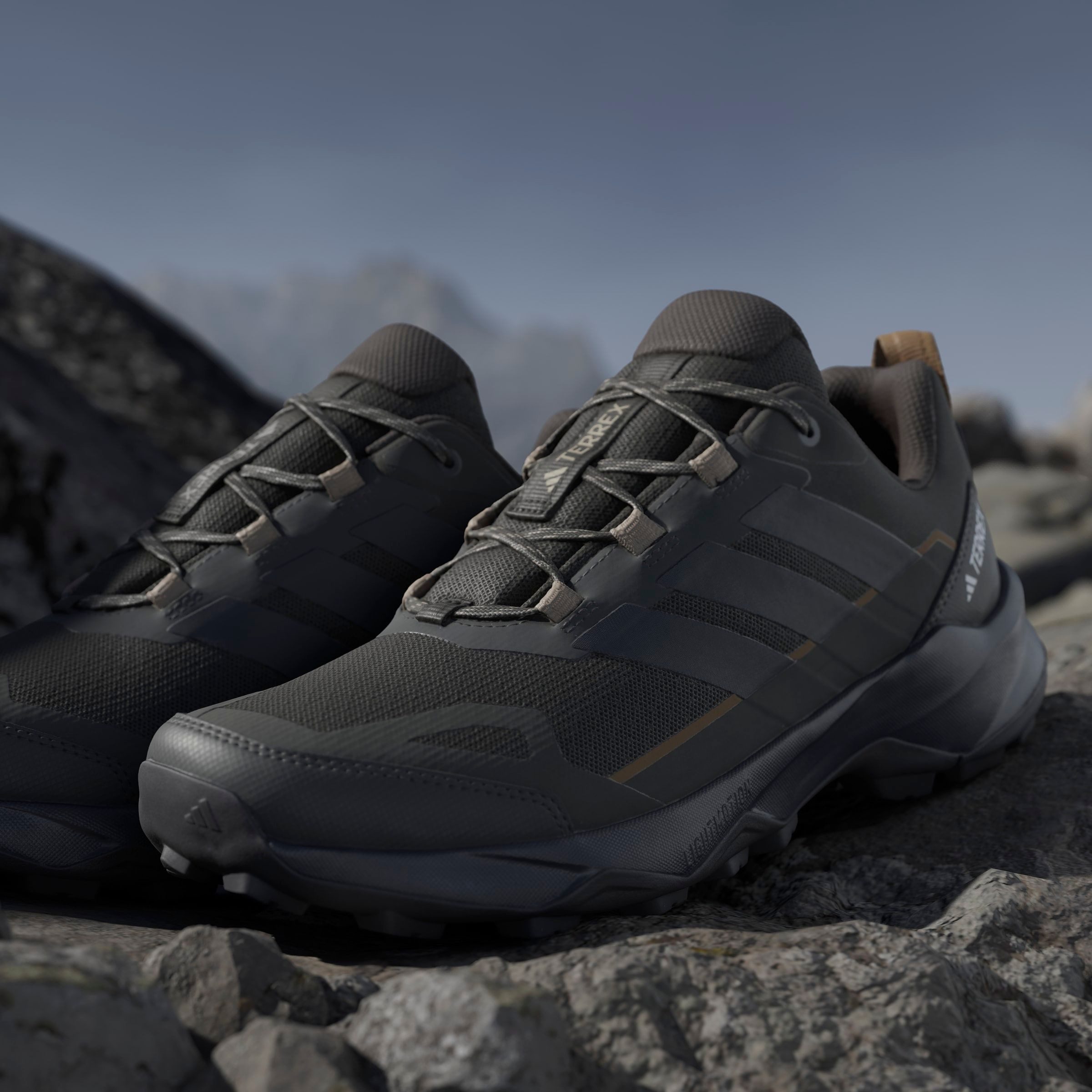 adidas TERREX Wandelschoenen TERREX SKYCHASER AX5 E