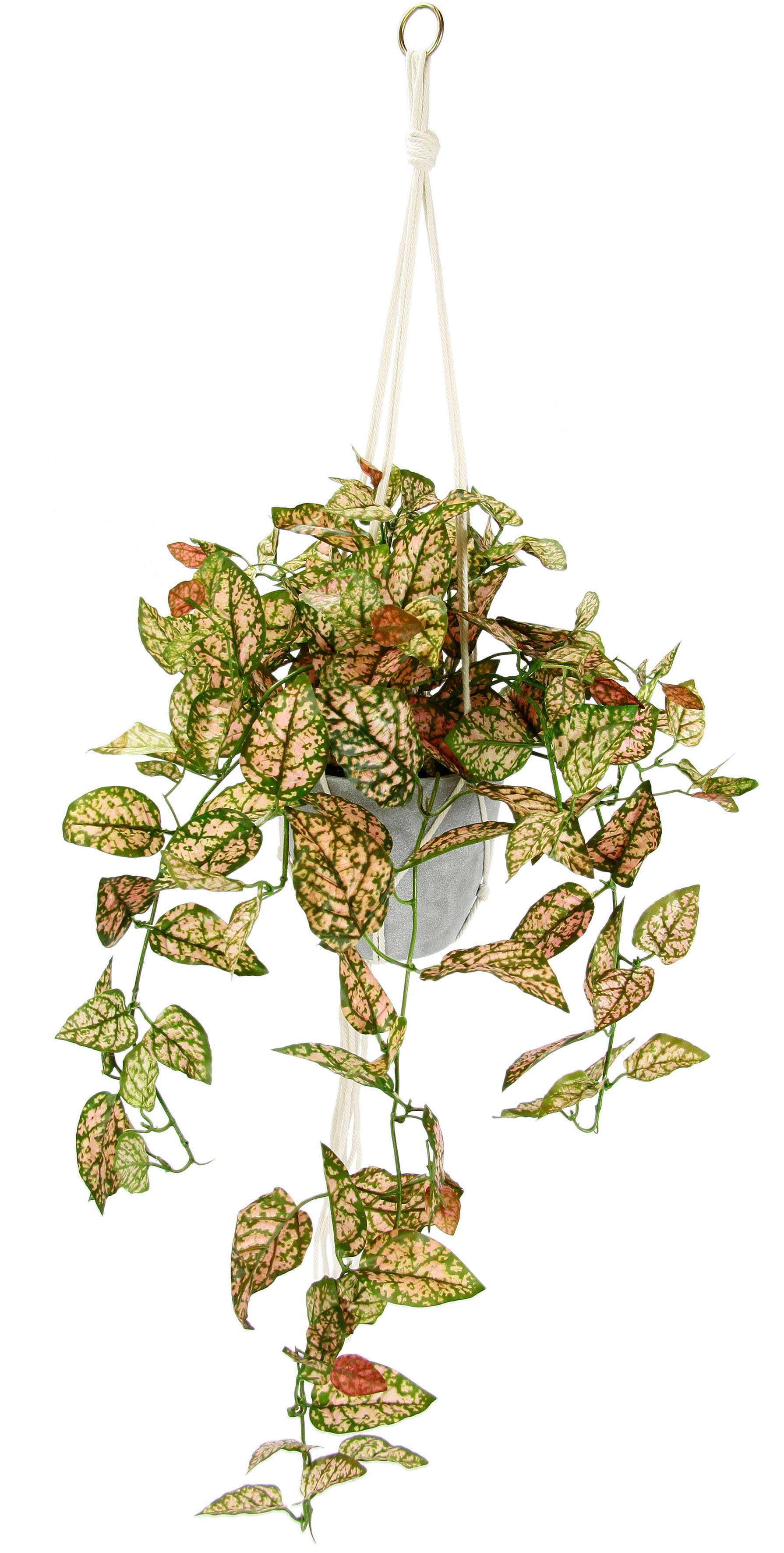 I.GE.A. Kunstplant Kunstmatige fittonia hangmand met pot kunstplant (1 stuk) kunstplanten groen