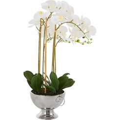 guido maria kretschmer homeliving kunstorchidee couturier kunstplant, in een pot, keramiekschaal wit