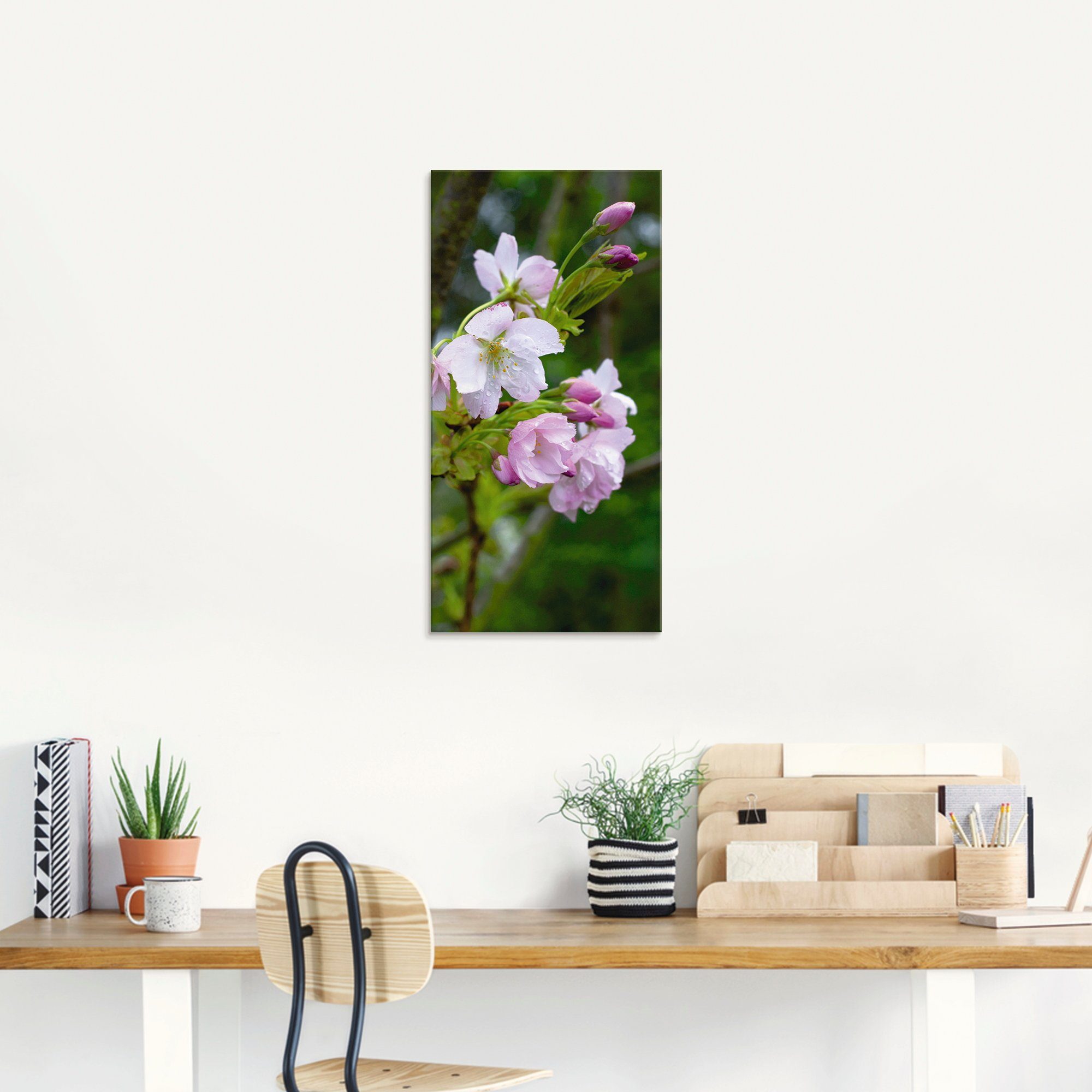 Artland Print op glas Tak van een bloeiende sierkers