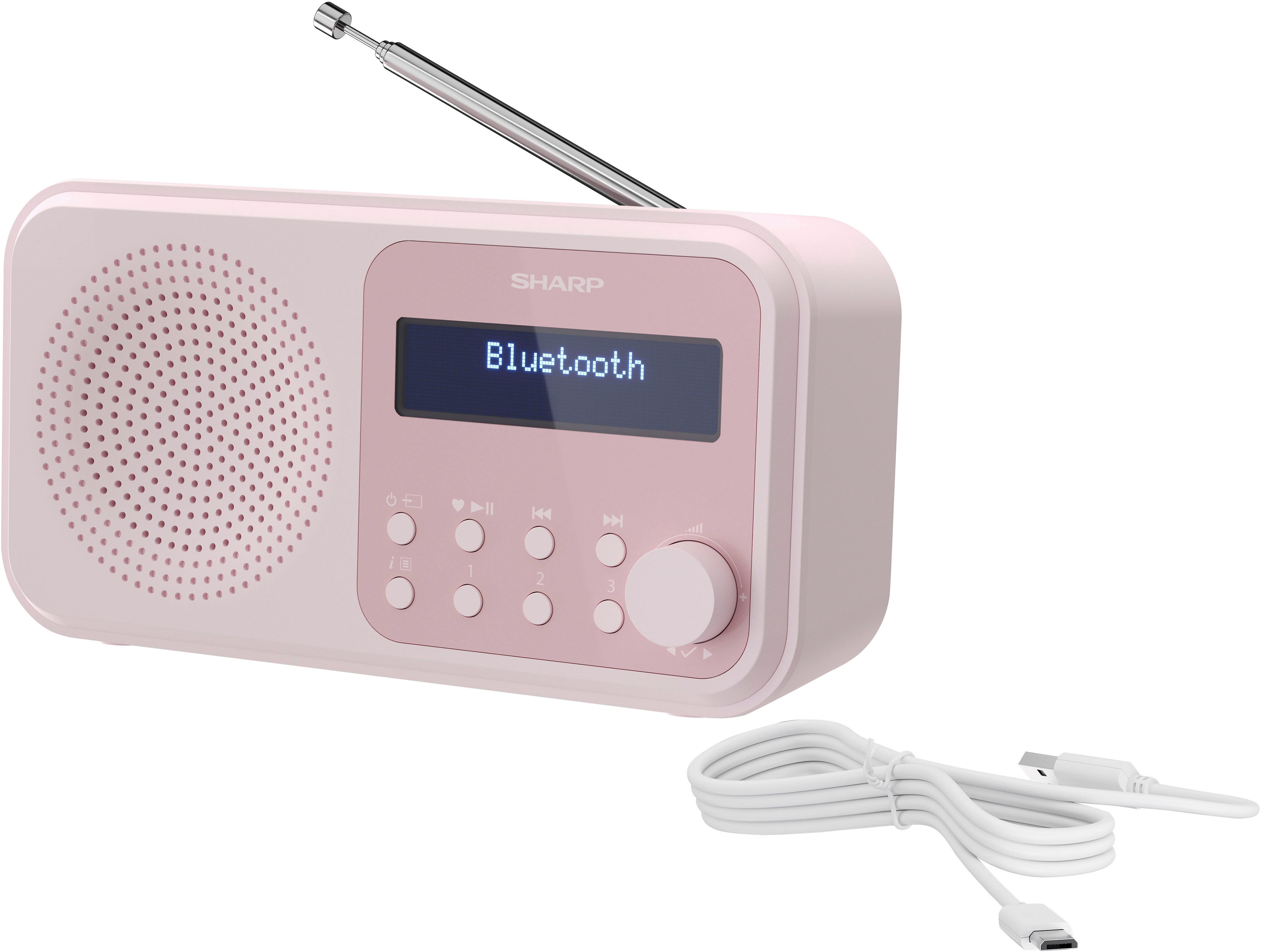Sharp Radio DR-P420