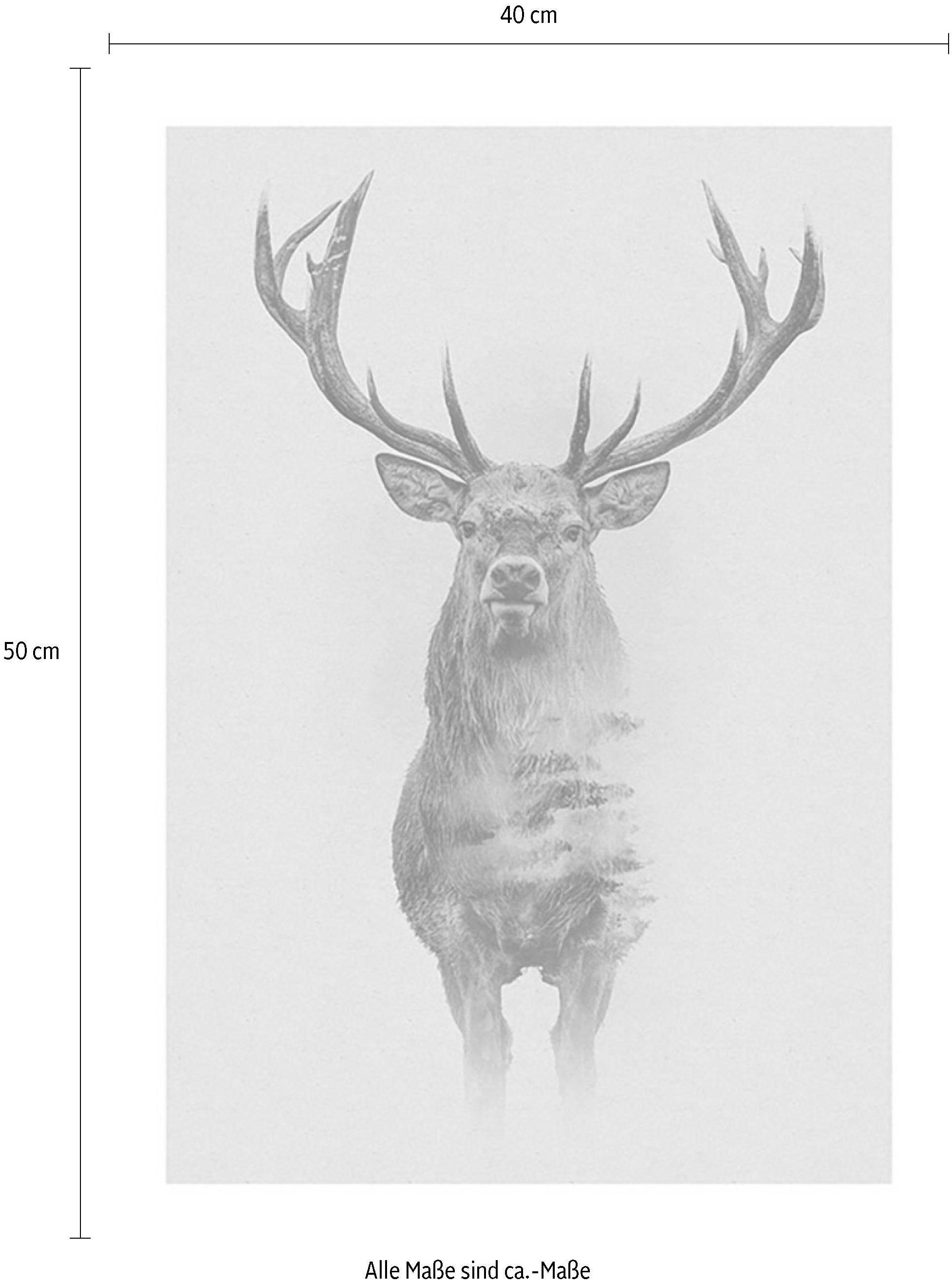 Komar Wanddecoratie Animals forest Deer Wanddecoratie - zonder lijst (1 stuk)