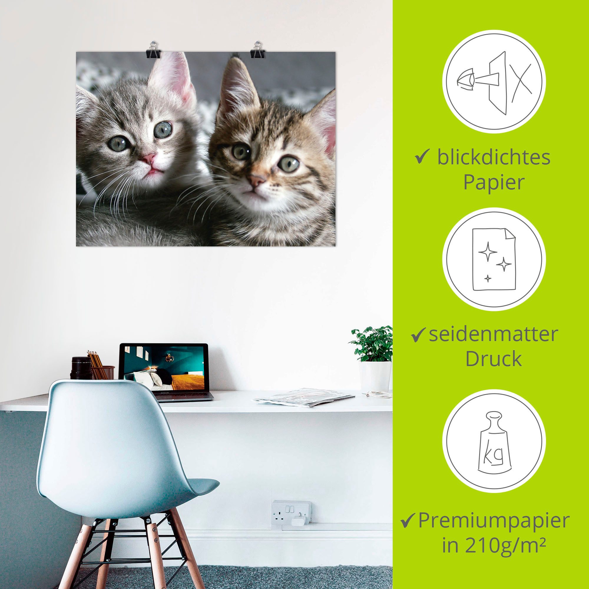 Artland Artprint Kat als artprint van aluminium, artprint voor buiten, artprint op linnen, poster, muursticker