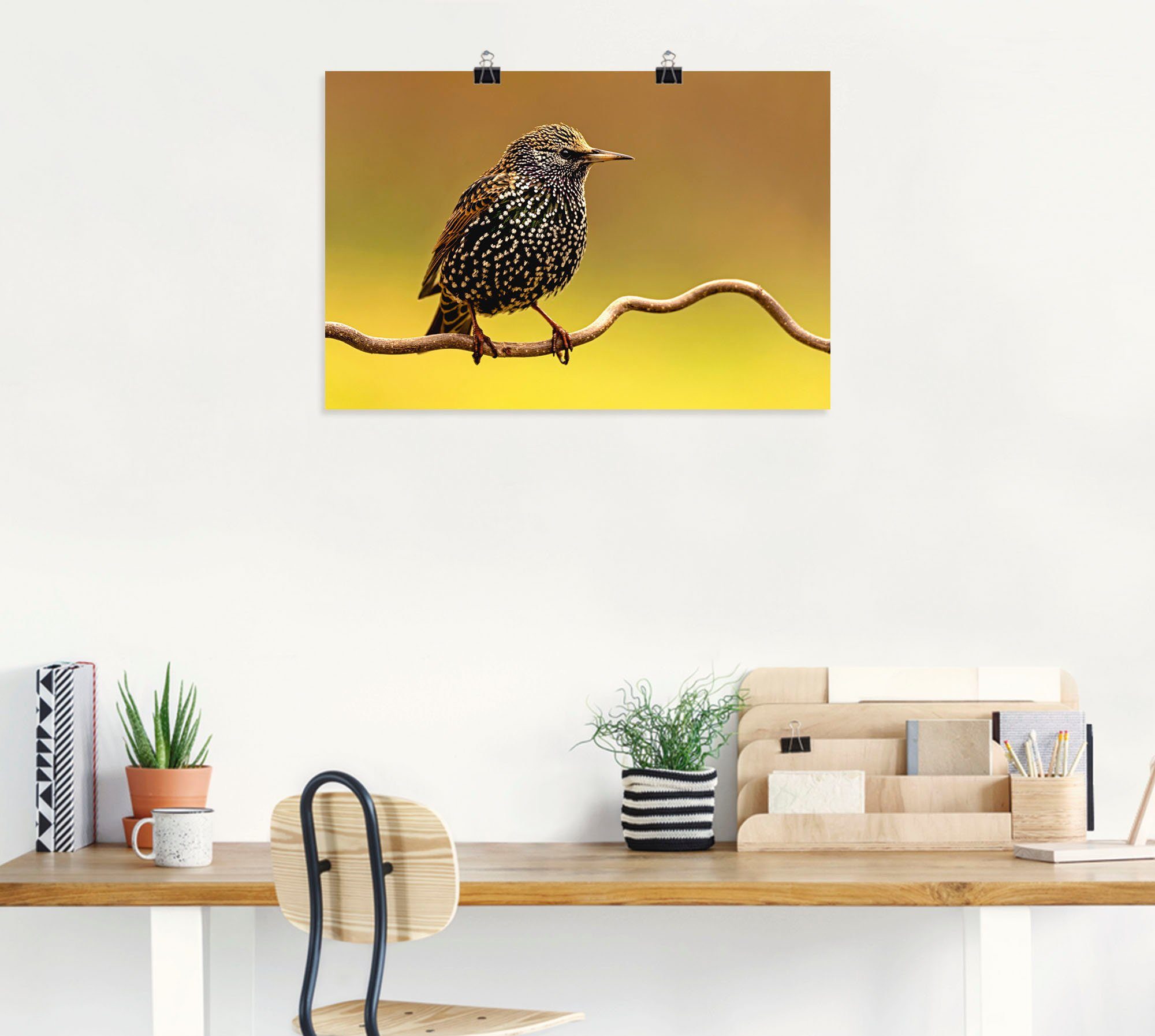 Artland Artprint Star als artprint op linnen, poster in verschillende formaten maten