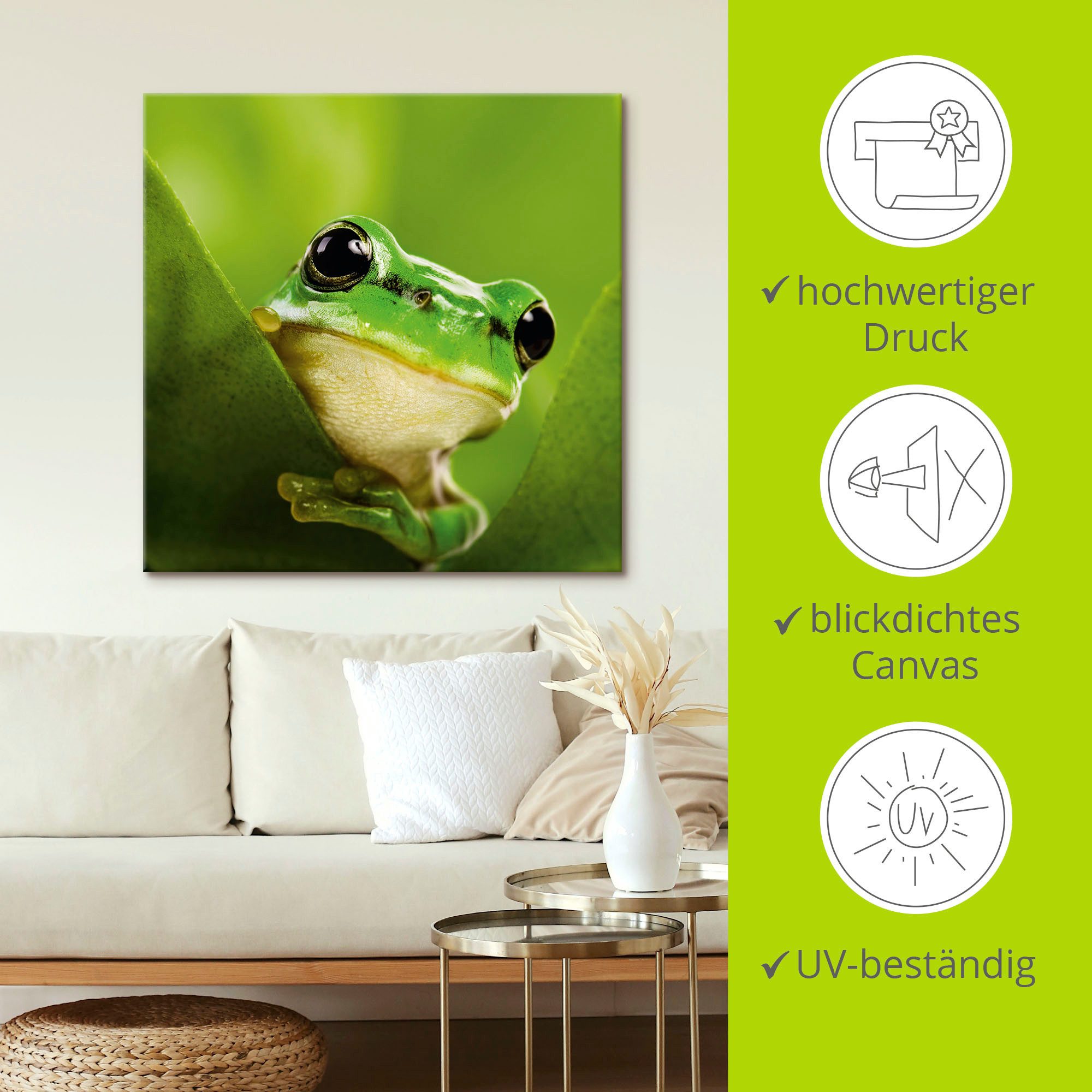 Artland Artprint Kijkende kikker als artprint op linnen, poster in verschillende formaten maten