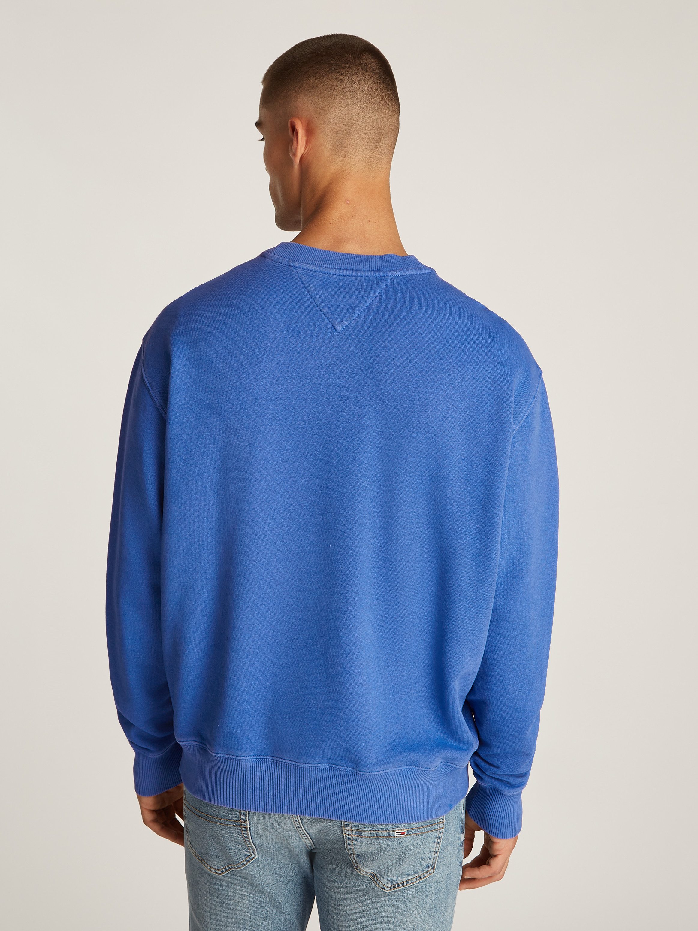 TOMMY JEANS Sweatshirt TJM RLX VINTAGE VARSITY CREW