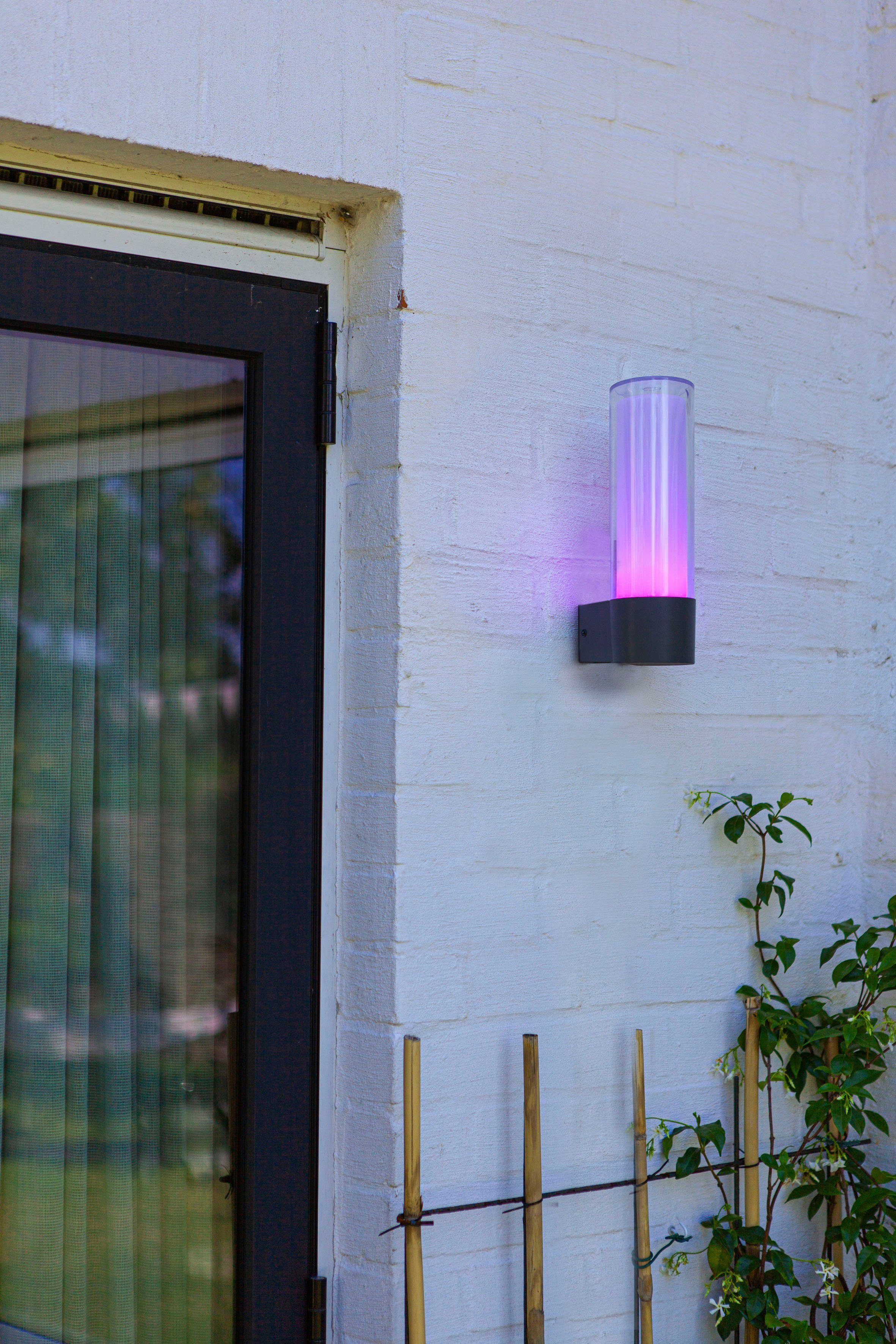 LUTEC Slimme ledlamp DROPA Smart-home (1 stuk)