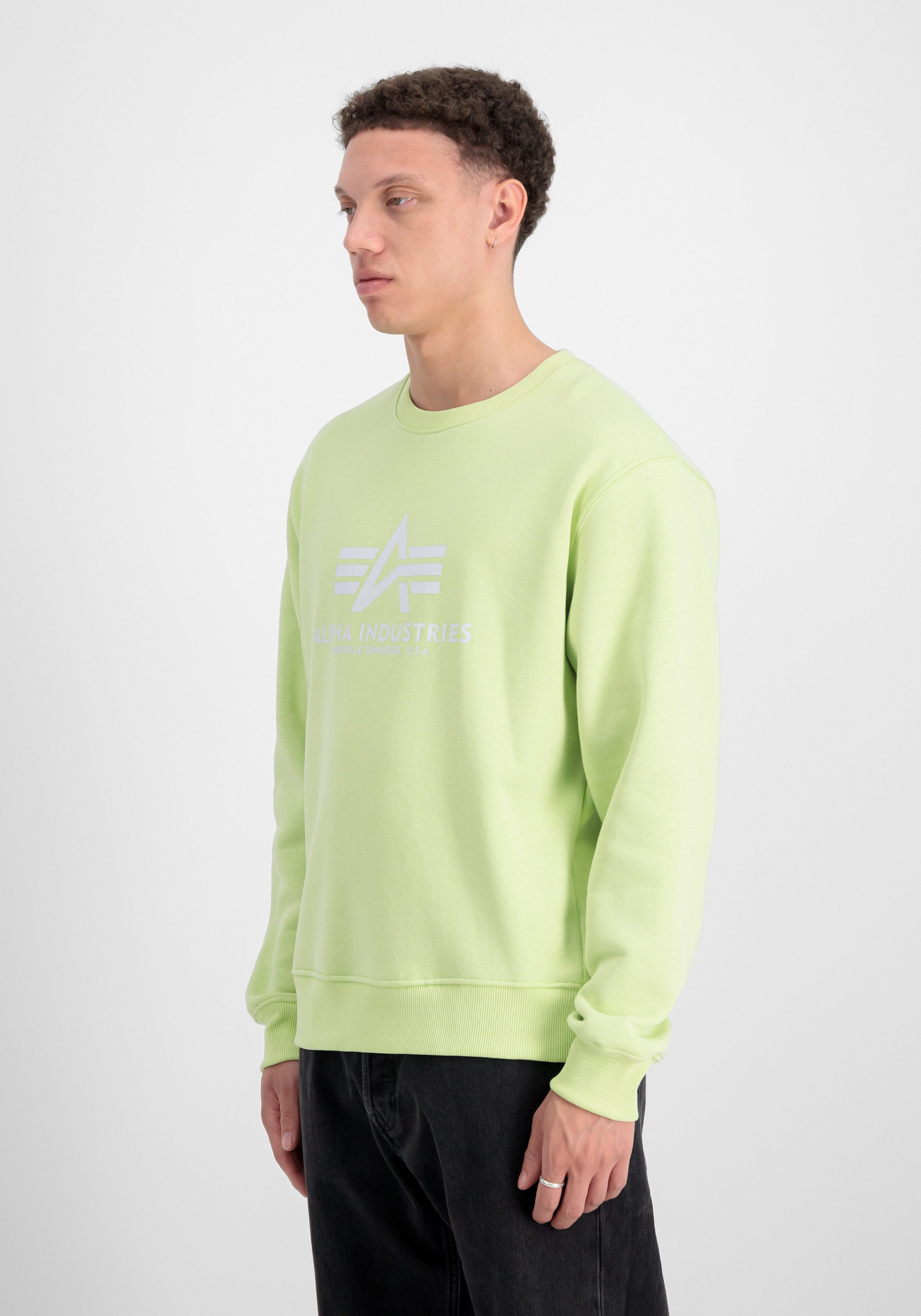Alpha Industries Sweater Alpha Industries Men - Sweatshirts Basic Sweater