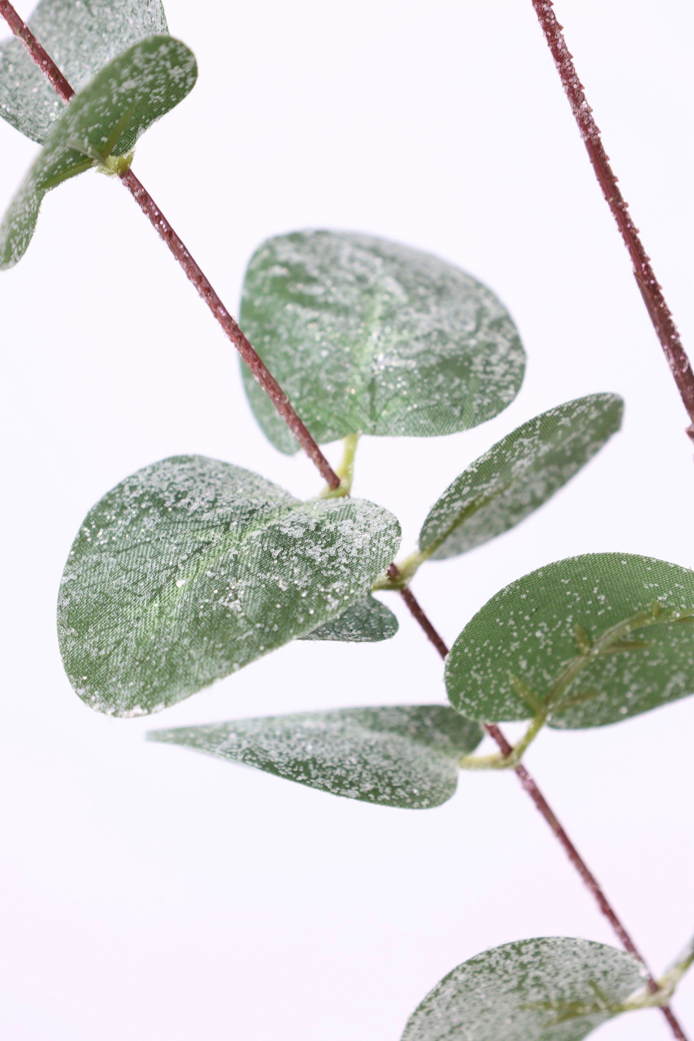 I.GE.A. Winterse kunstplant Kunsttak, eucalyptus tak, kerstdecoratie(set, 2 stuks)