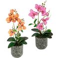 i.ge.a. kunstplant orchidee met bladeren en luchtwortels, in een pot van keramiek, set van 2 roze