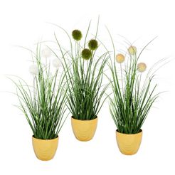 leonique kunstgras grasbundel met bollen kunstplant, gras, in een pot, set van 3 (set) groen