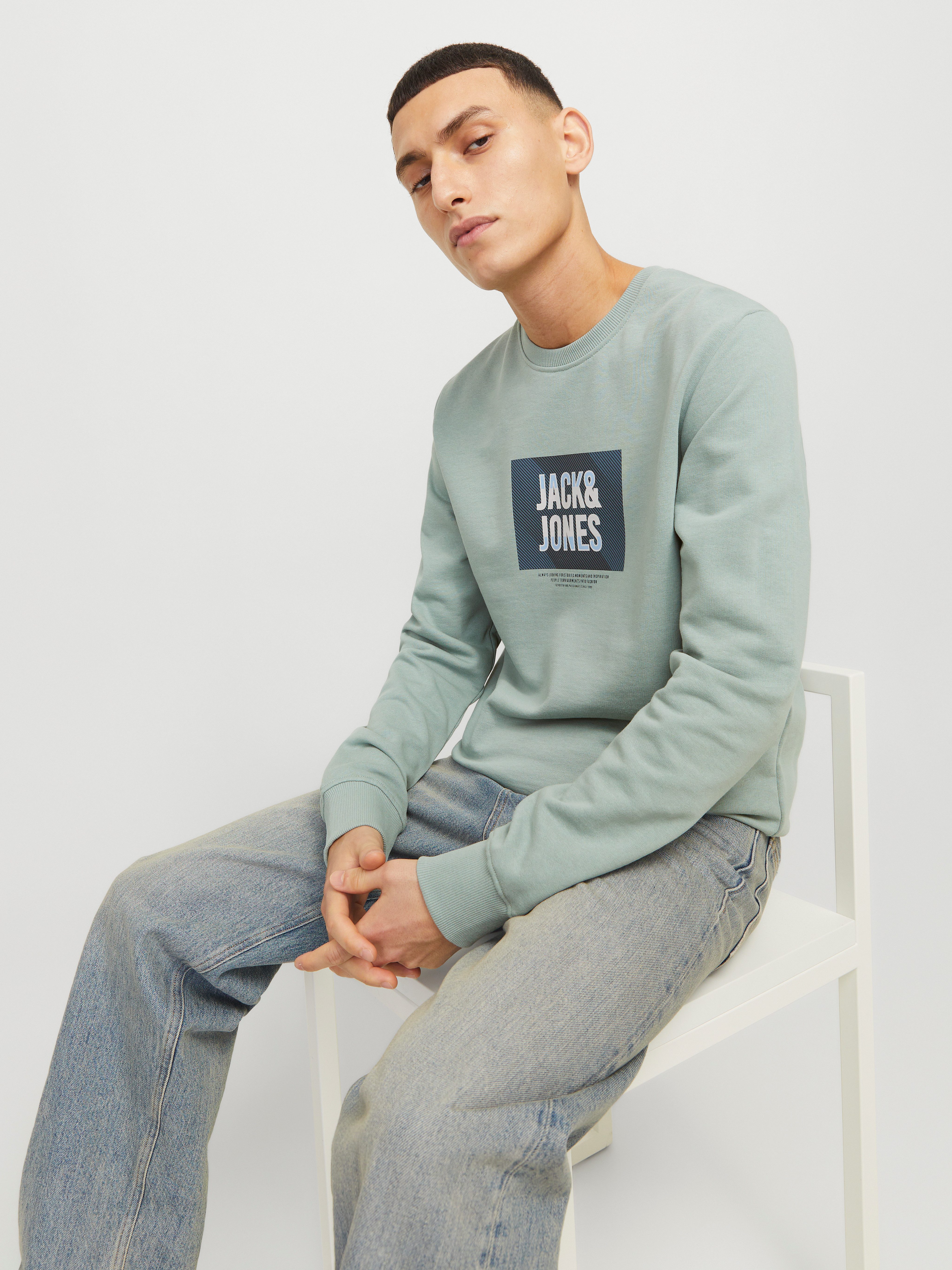 Jack & Jones Sweatshirt JJHUDSON SWEAT CREW NECK