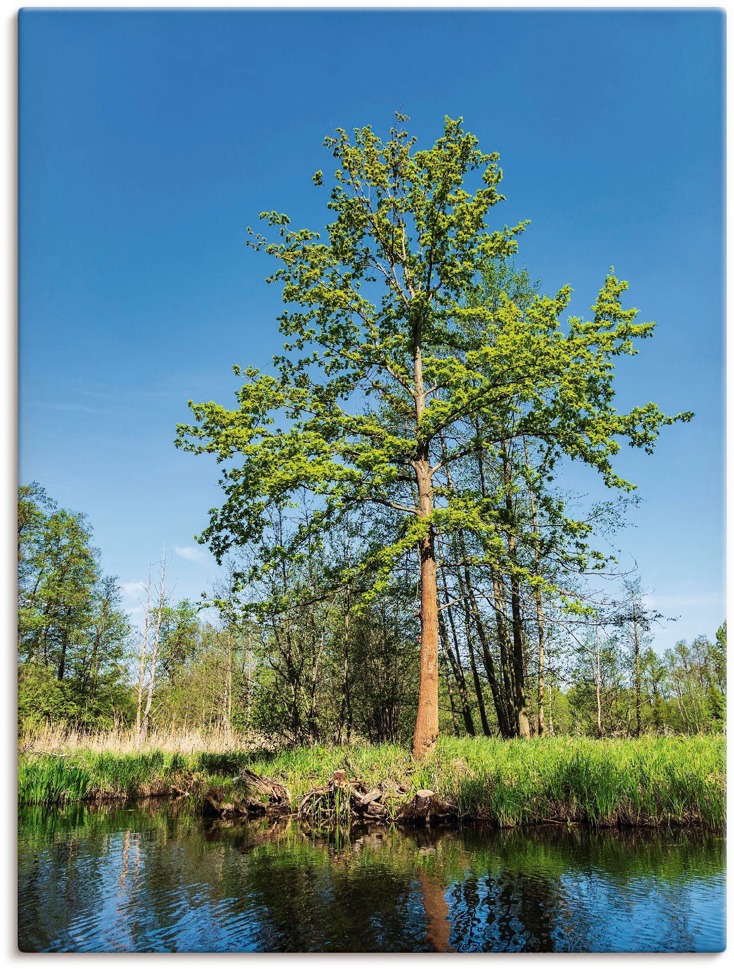 Artland Artprint Landschap in Spreewald bij Lübbenau in vele afmetingen & productsoorten - artprint van aluminium / artprint voor buiten, artprint op linnen, poster, muursticker /