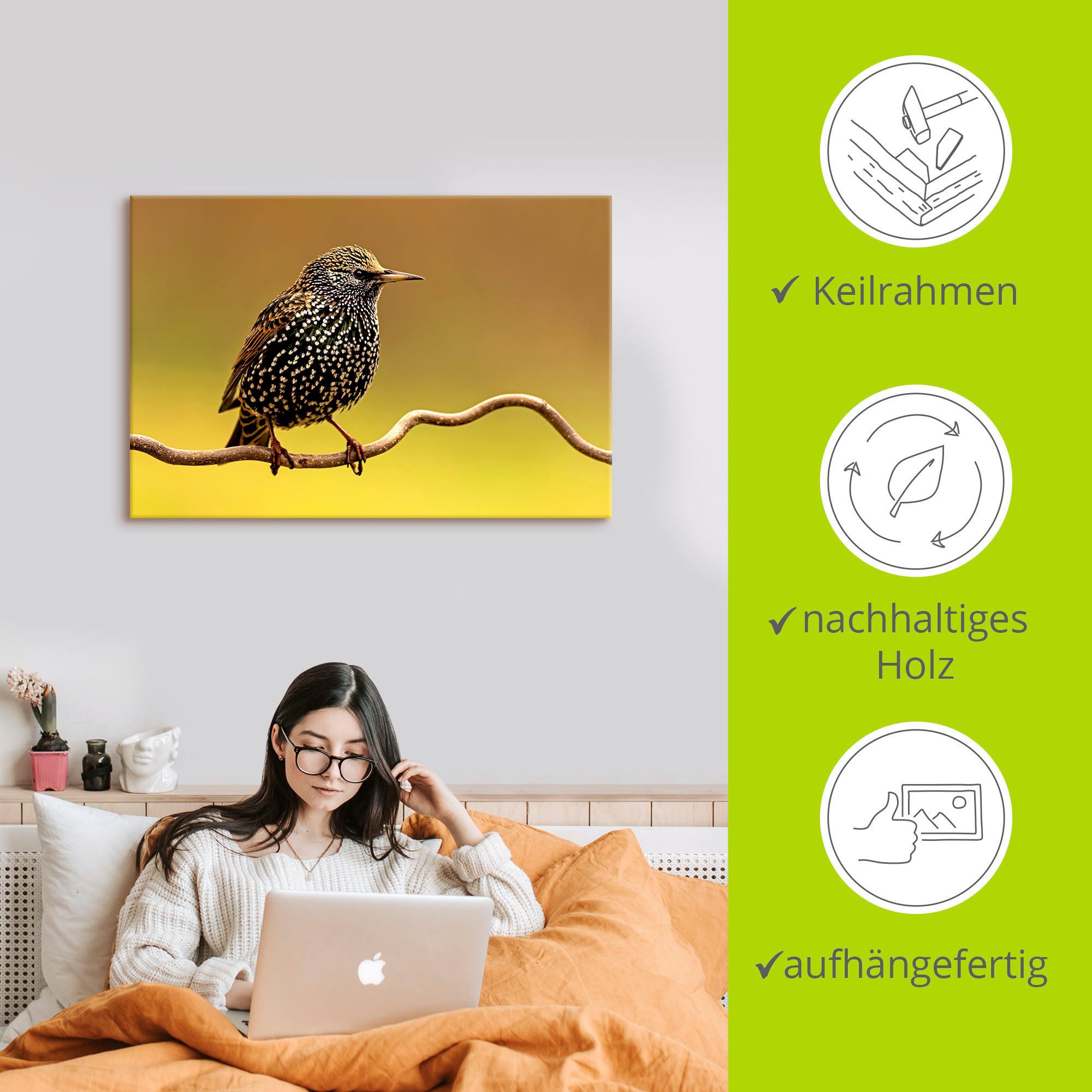 Artland Artprint Star als artprint op linnen, poster in verschillende formaten maten