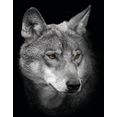 boenninghoff artprint op linnen wolf (1 stuk) zwart