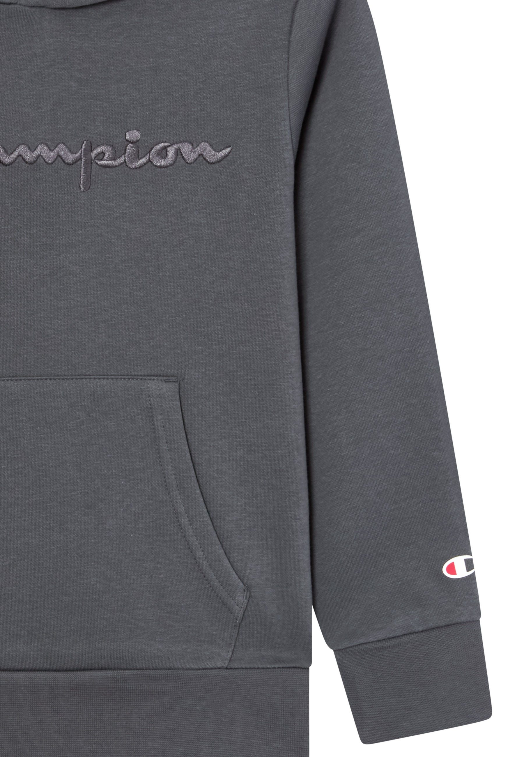 Champion Hoodie ICONS TONAL Hoodie Large Logo (1-delig)