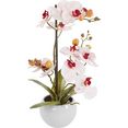 delavita kunstorchidee ernestine kunstplant, in een pot roze