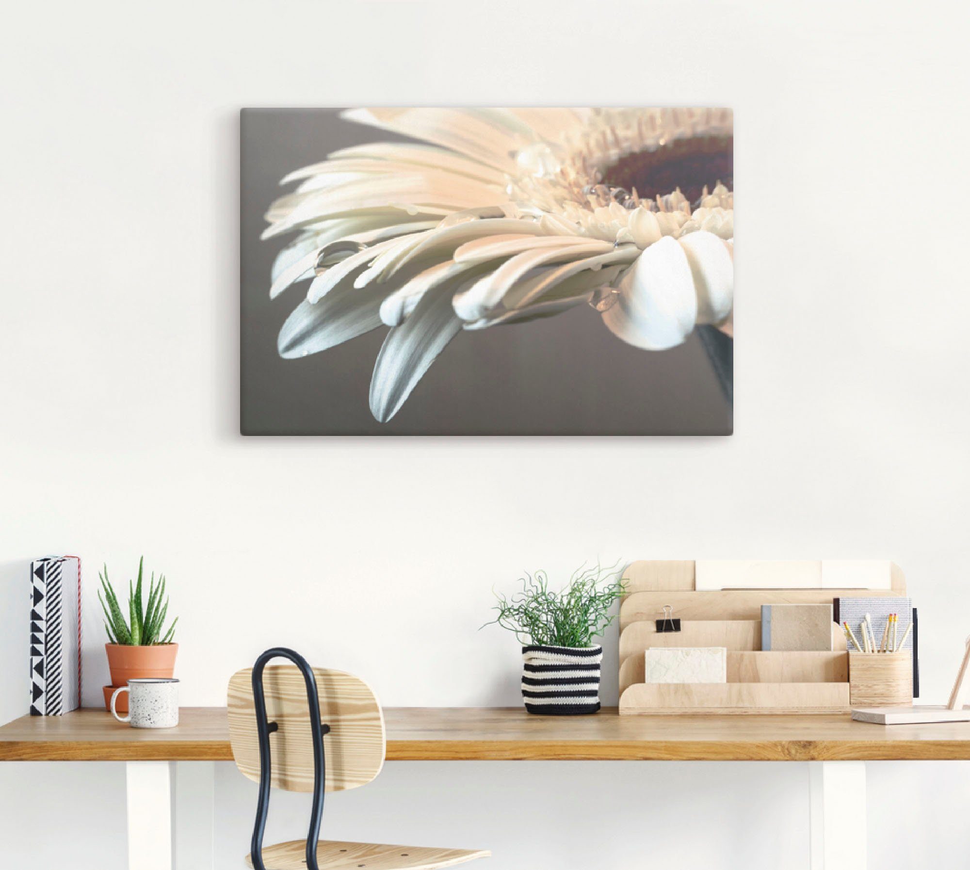 Artland Artprint Bloem van een gerbera als artprint op linnen, poster, muursticker in verschillende maten