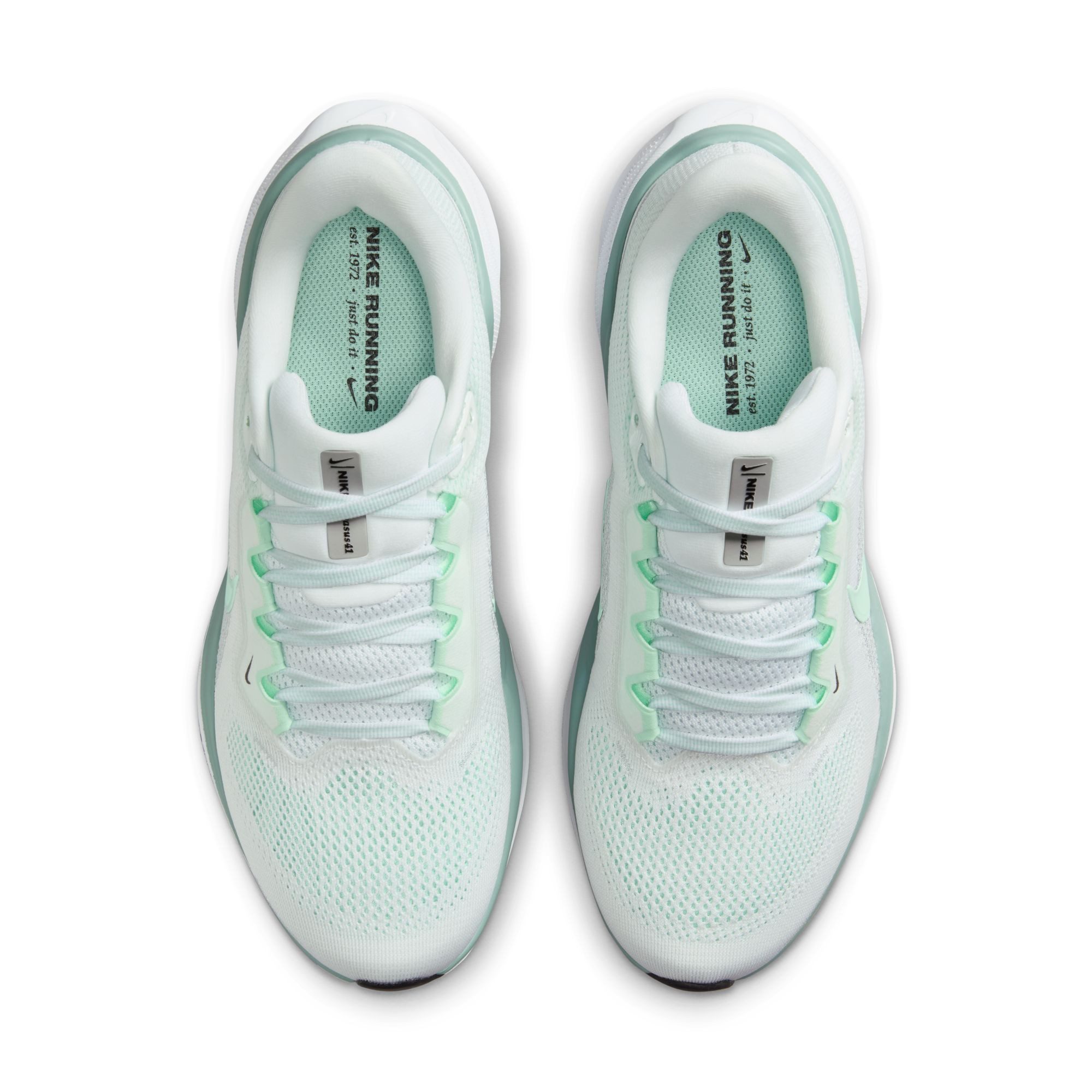 Nike Runningschoenen W AIR ZOOM PEGASUS 41
