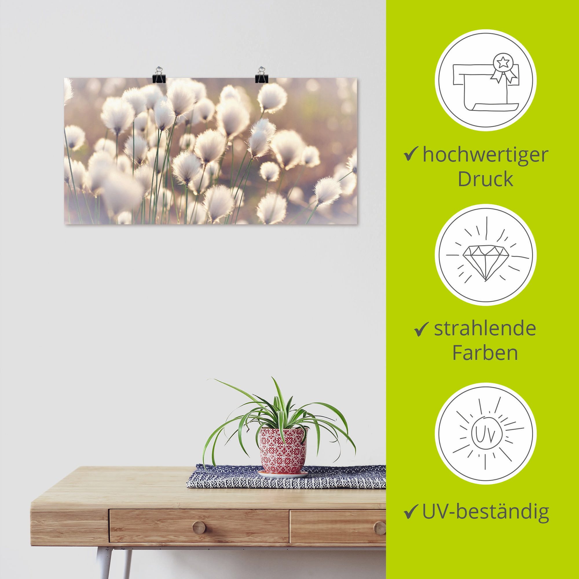 Artland Artprint Wolgrasmagie in het veen als artprint van aluminium, artprint voor buiten, artprint op linnen, poster, muursticker