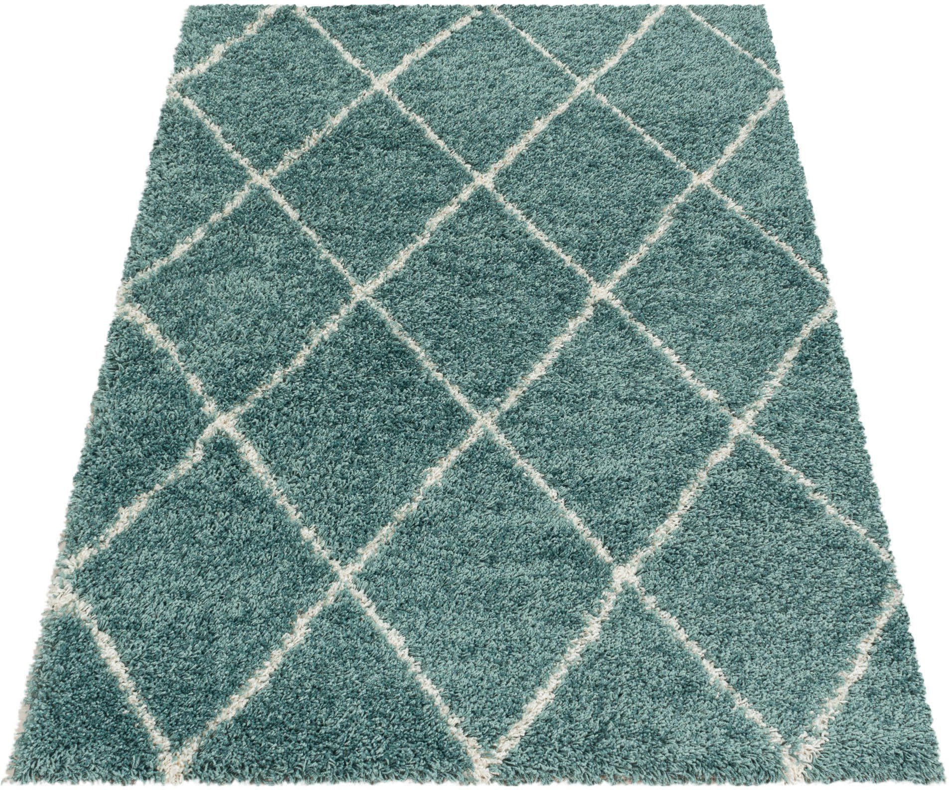 Ayyildiz Teppiche Hoogpolig vloerkleed ALVOR 3401