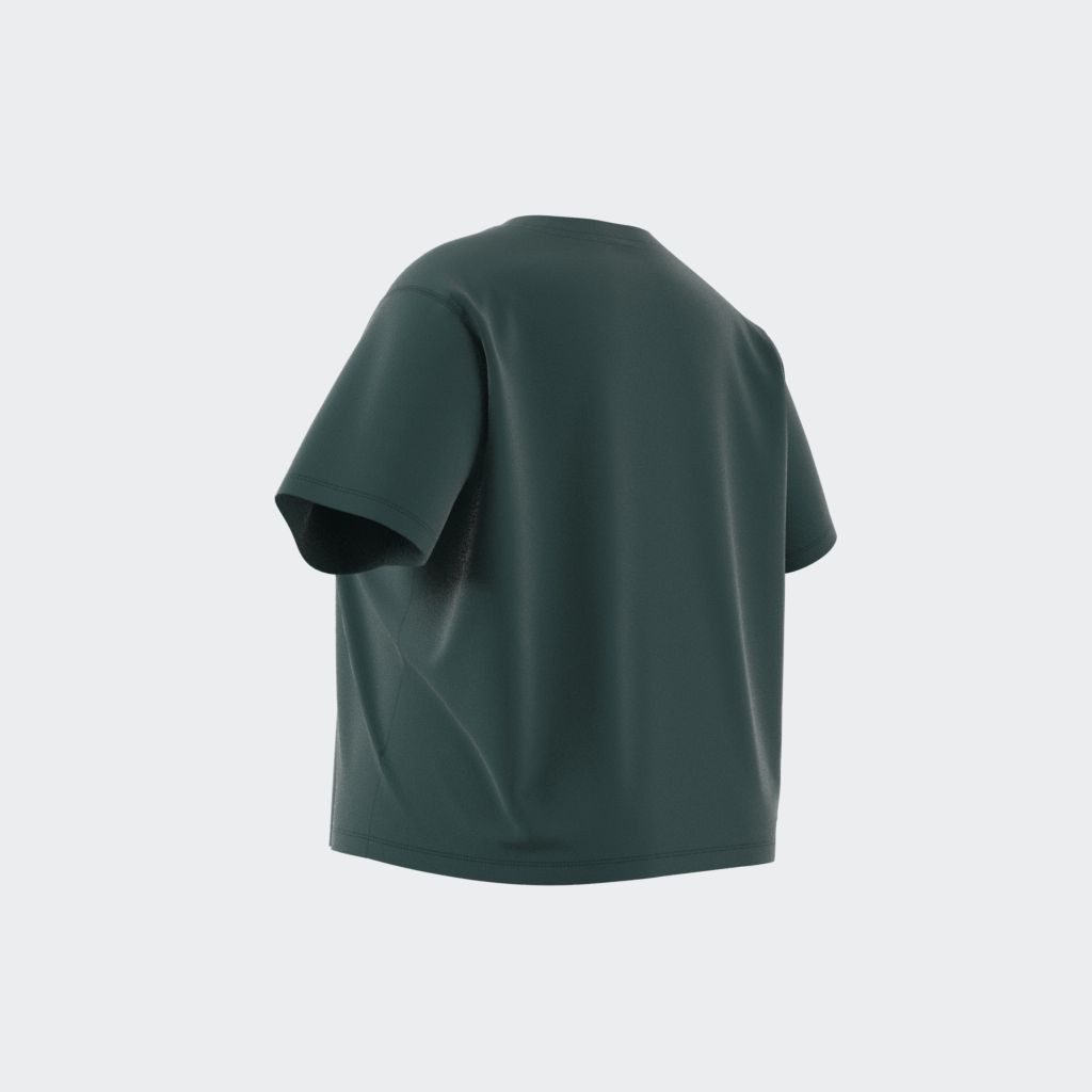 adidas Originals T-shirt TRFL TEE BOXY
