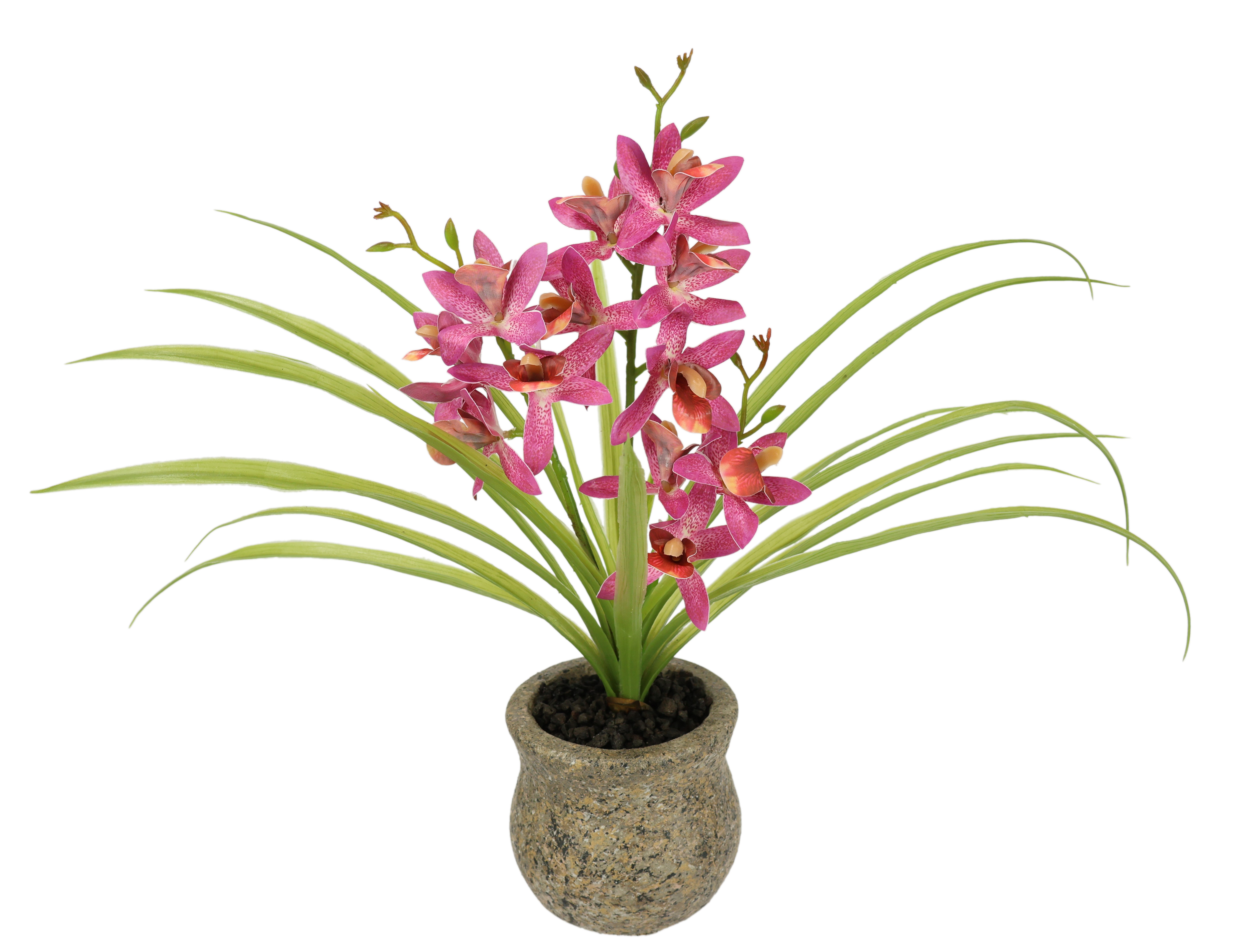 I.GE.A. Kunstbloem vlinderorchidee met keramische pot Met bladeren en luchtwortels, kunstorchidee Phalaenopsis, kunstplant (1 stuk)