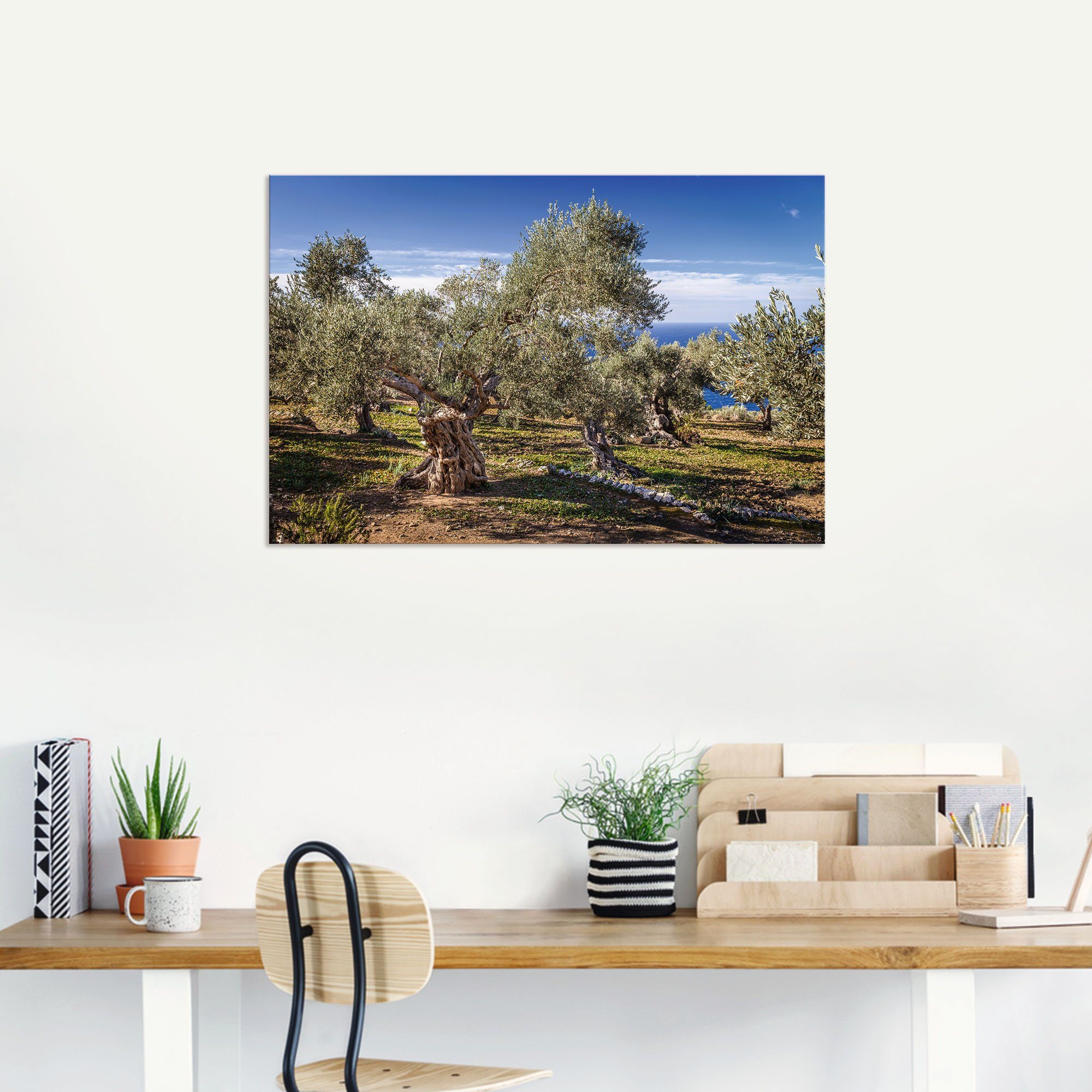 Artland Artprint Olijfgaard in de Serra de Tramuntana als artprint van aluminium, artprint voor buiten, artprint op linnen, poster in verschillende maten. maten
