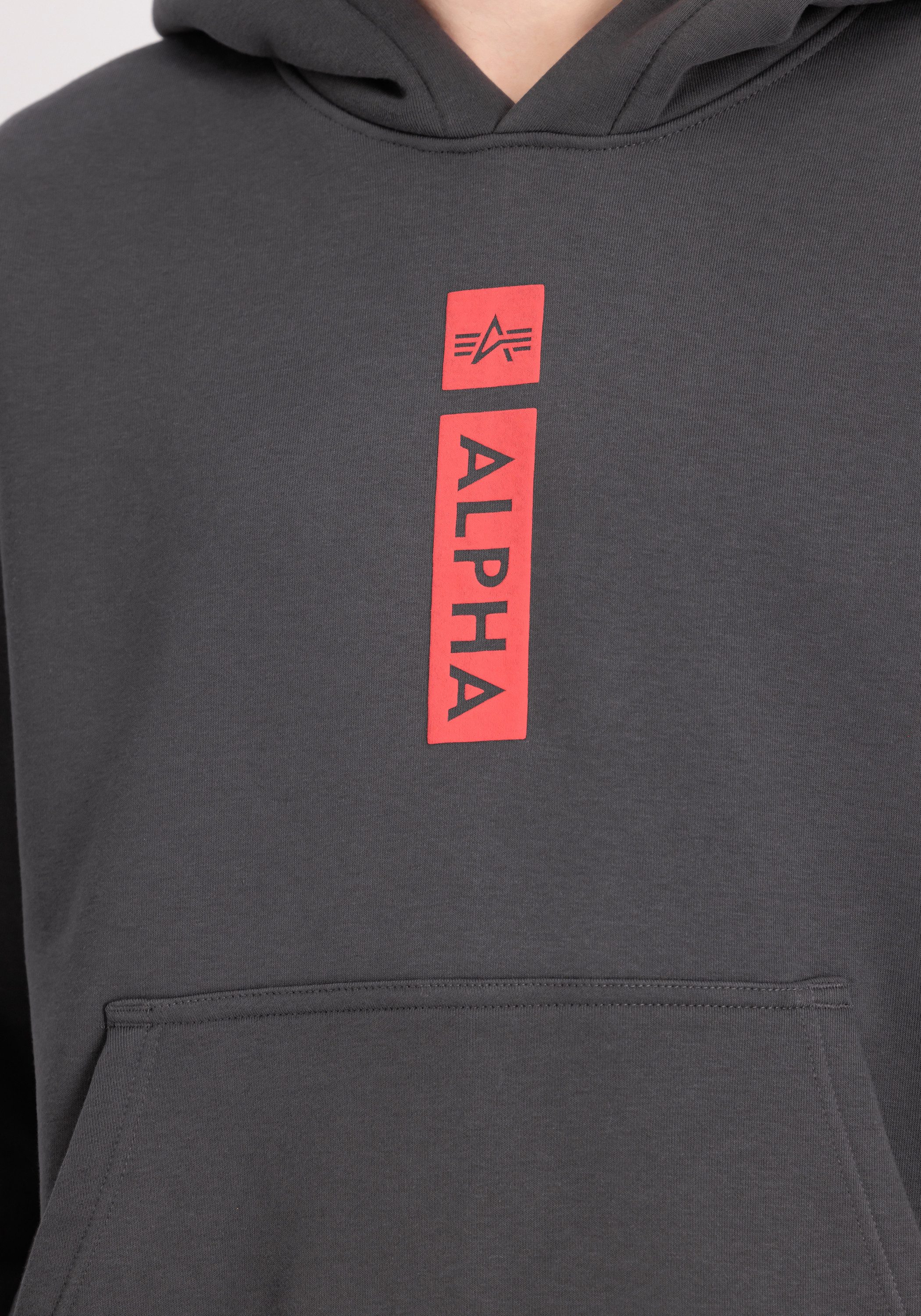Alpha Industries Hoodie Alpha Industries Men - Hoodies Alpha Puff Print Hoodie