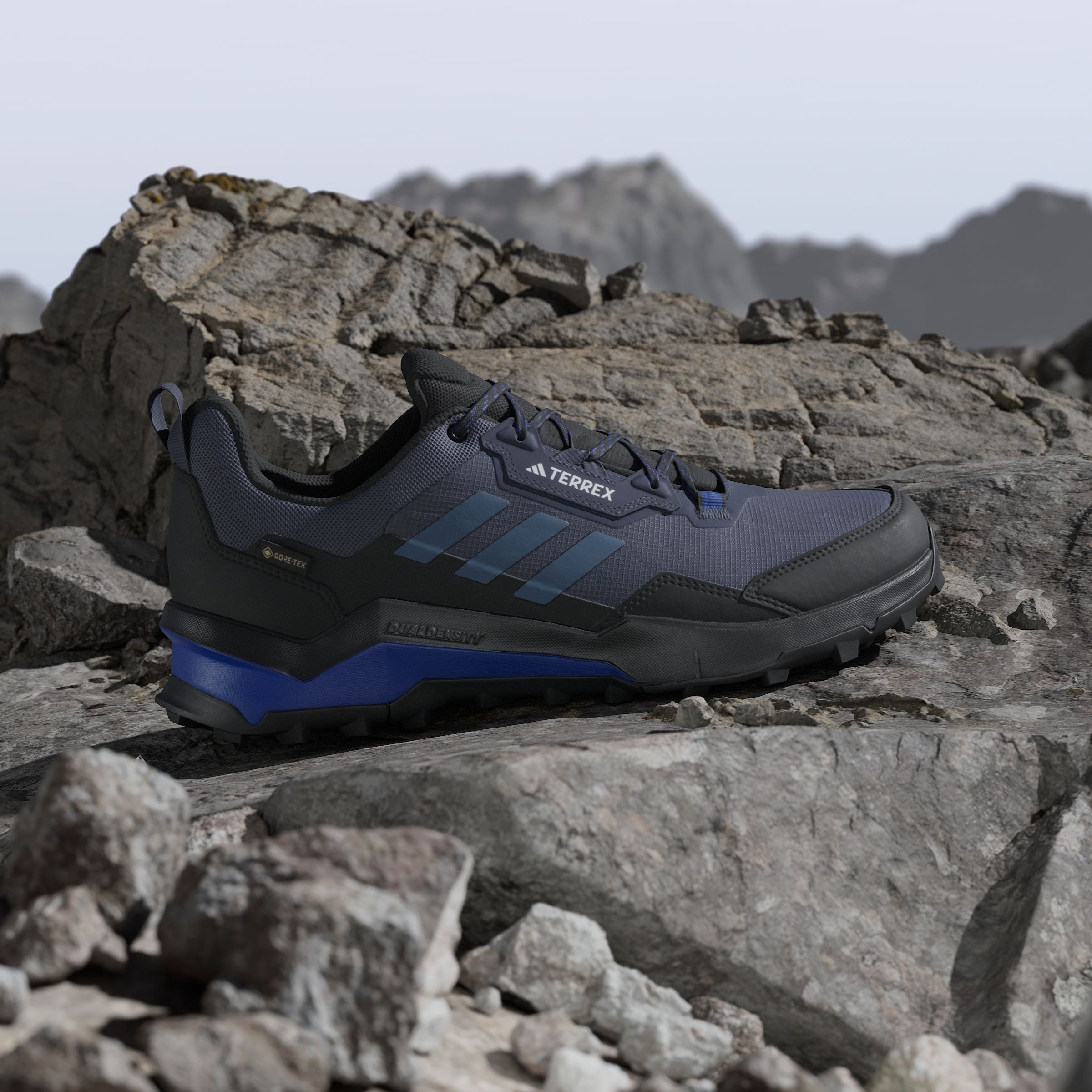 adidas TERREX Wandelschoenen TERREX AX4 GORE-TEX