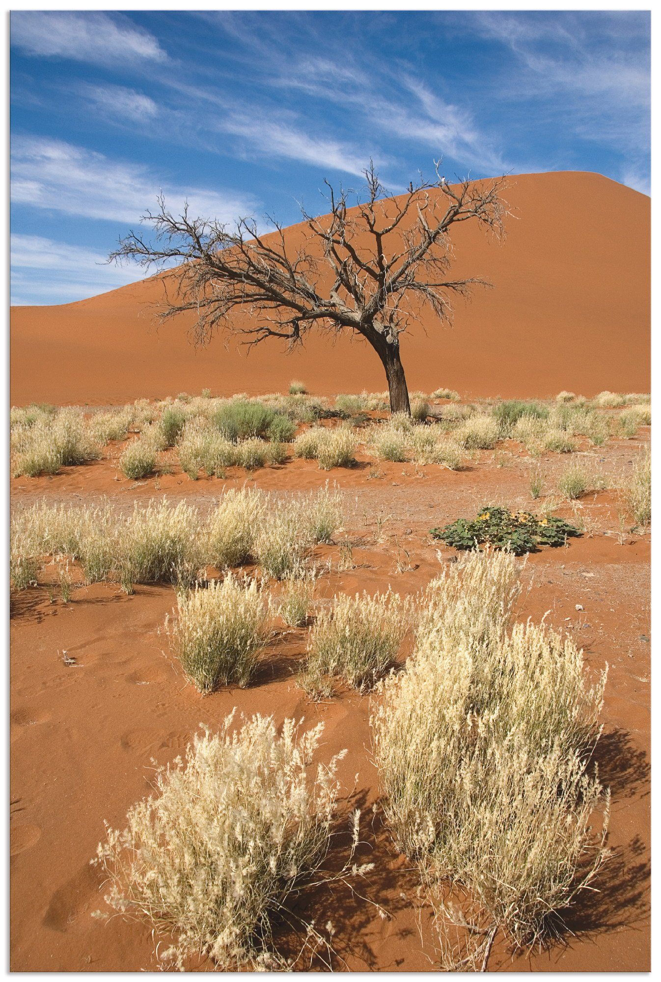 Artland Artprint Namib-woestijn 2 in vele afmetingen & productsoorten - artprint van aluminium / artprint voor buiten, artprint op linnen, poster, muursticker / wandfolie ook gesch