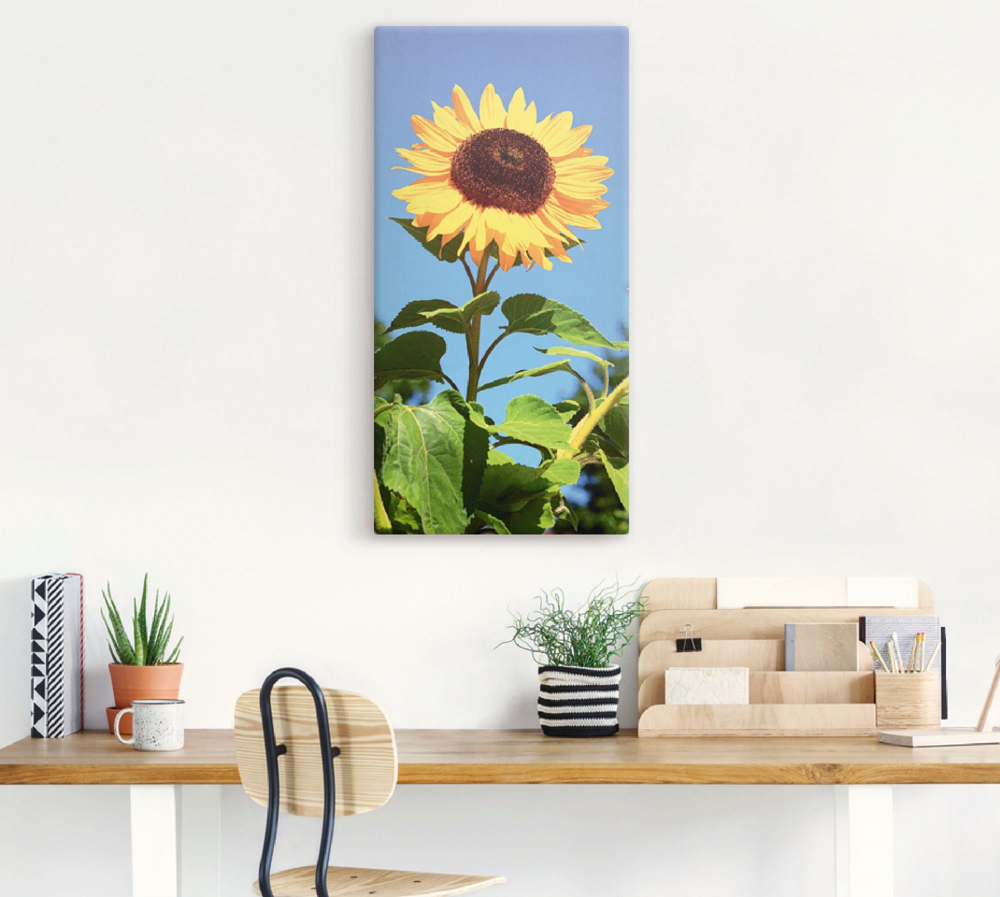 Artland Artprint Zonnebloem als artprint van aluminium, artprint voor buiten, artprint op linnen, poster in verschillende maten. maten