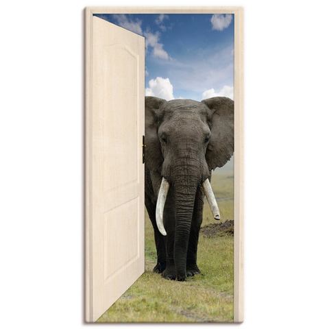 Artland artprint Offene weiße Türe mit Blick auf Elefant