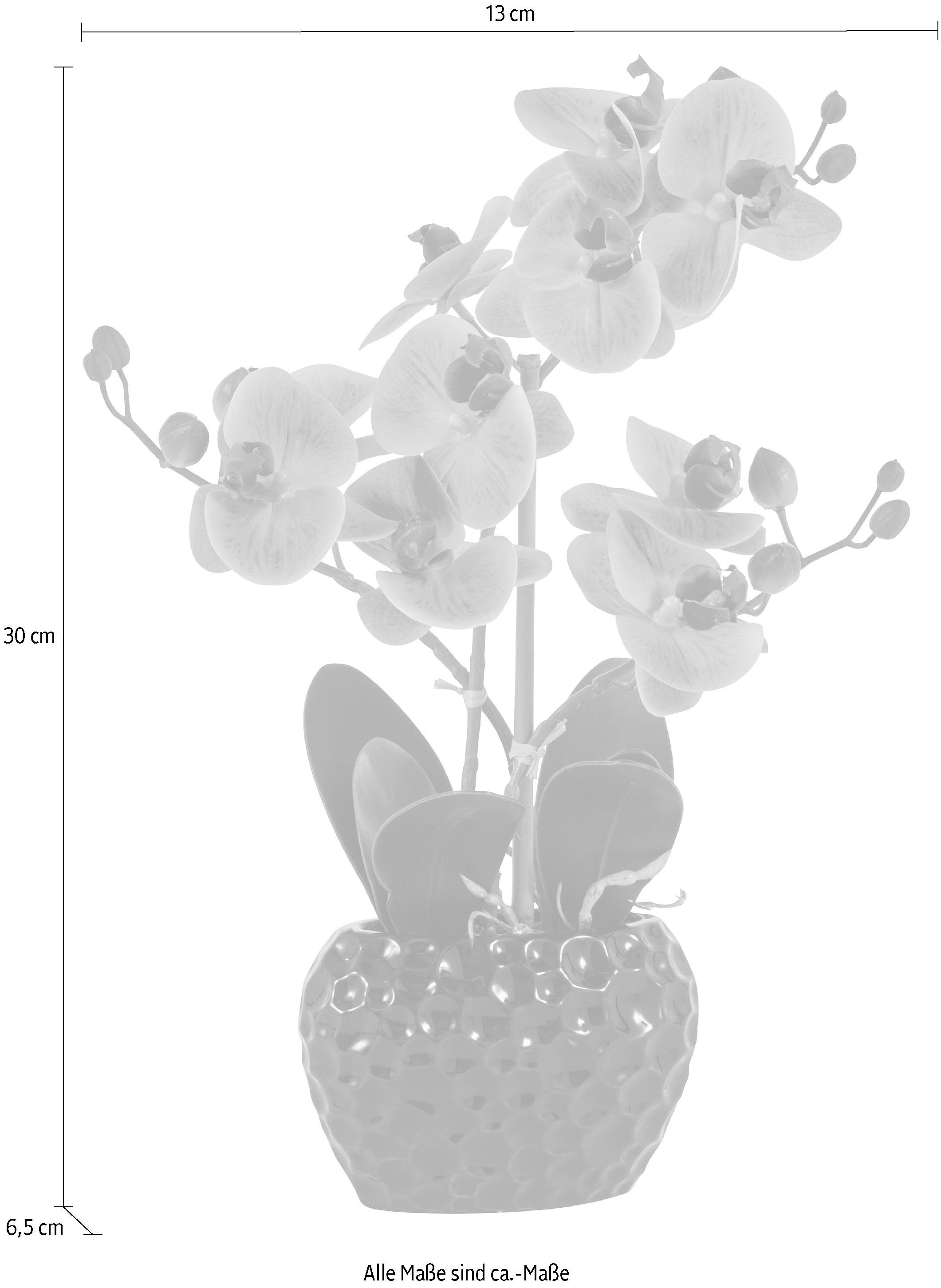 Leonique Kunstplant Orchidee Kunstorchidee, in pot, bestseller, meer dan 2500 4,5-sterren beoordelingen (1 stuk)