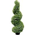 fink kunstplant buxusspiraal, in pot sierplant buxus, van kunststof, in pot, verschillende hoogten te bestellen, geschikt voor binnen en buiten (1 stuk) groen