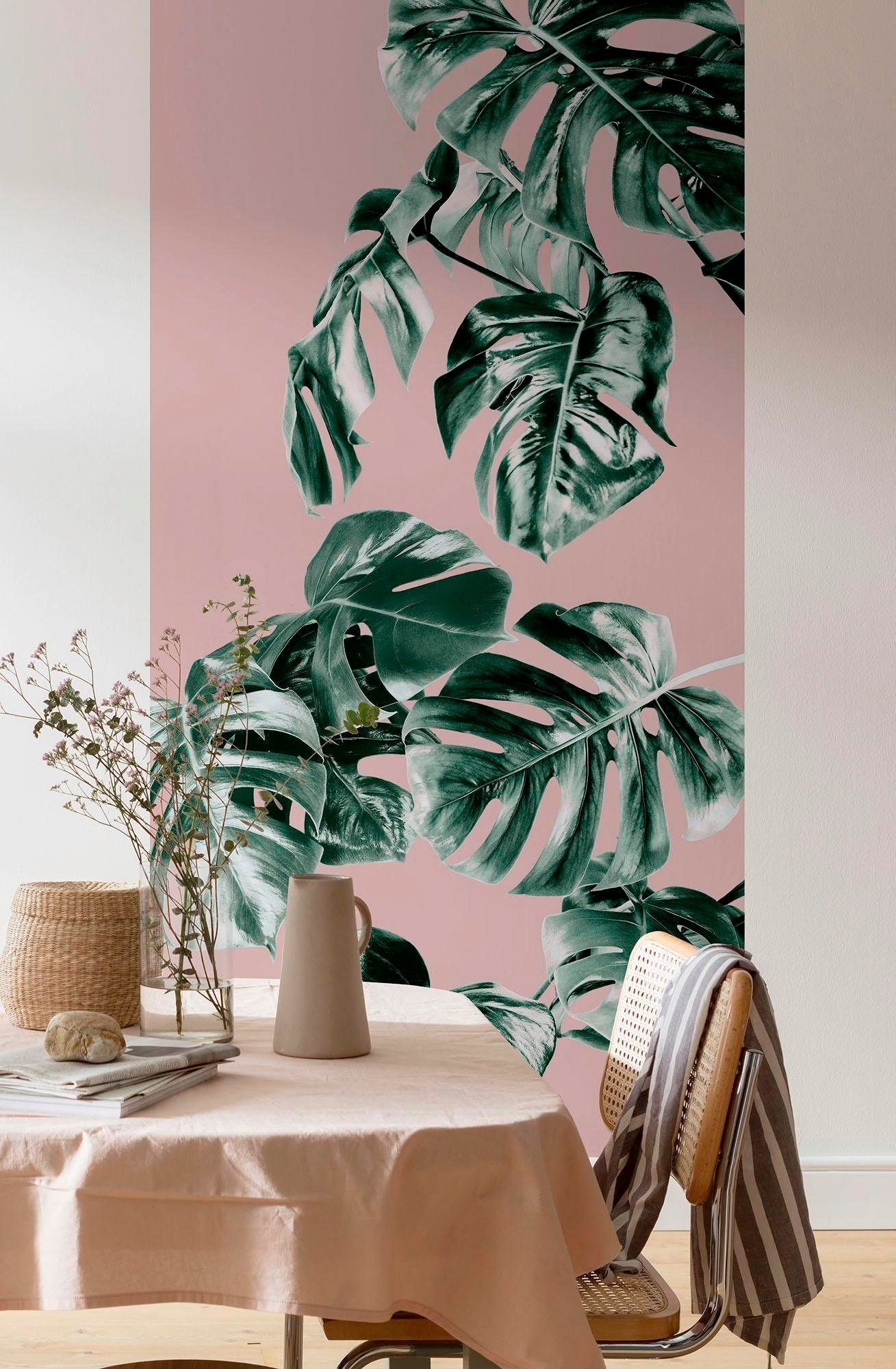 Komar Vliesbehang Digitale print vlies - Monstera Rosé Panel - Afmeting 100 x 250 cm (1 stuk)