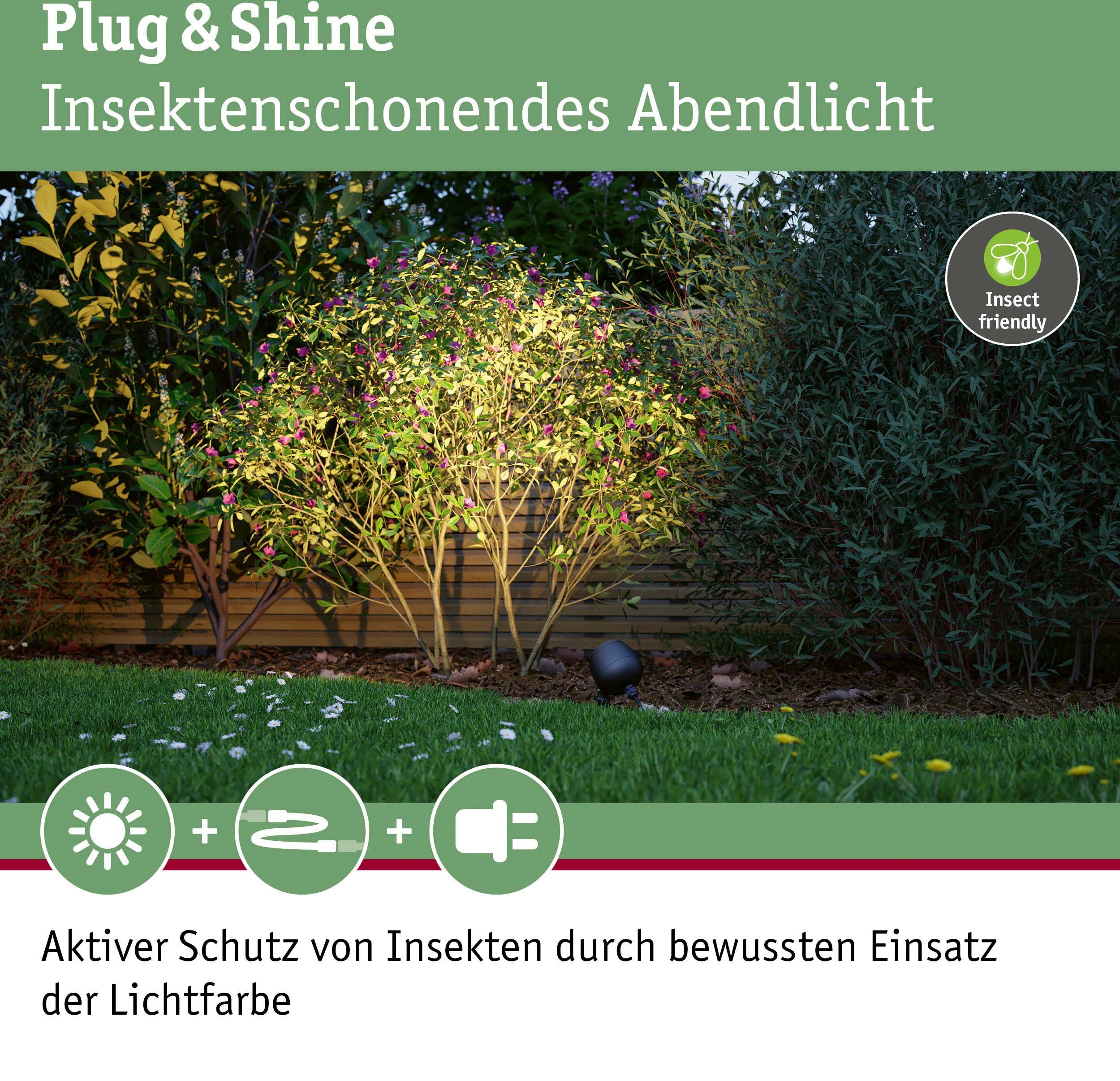 Paulmann Led-tuinverlichting Buiten Plug & Shine Spot Kikolo Insect friendly ZigBee (1 stuk)