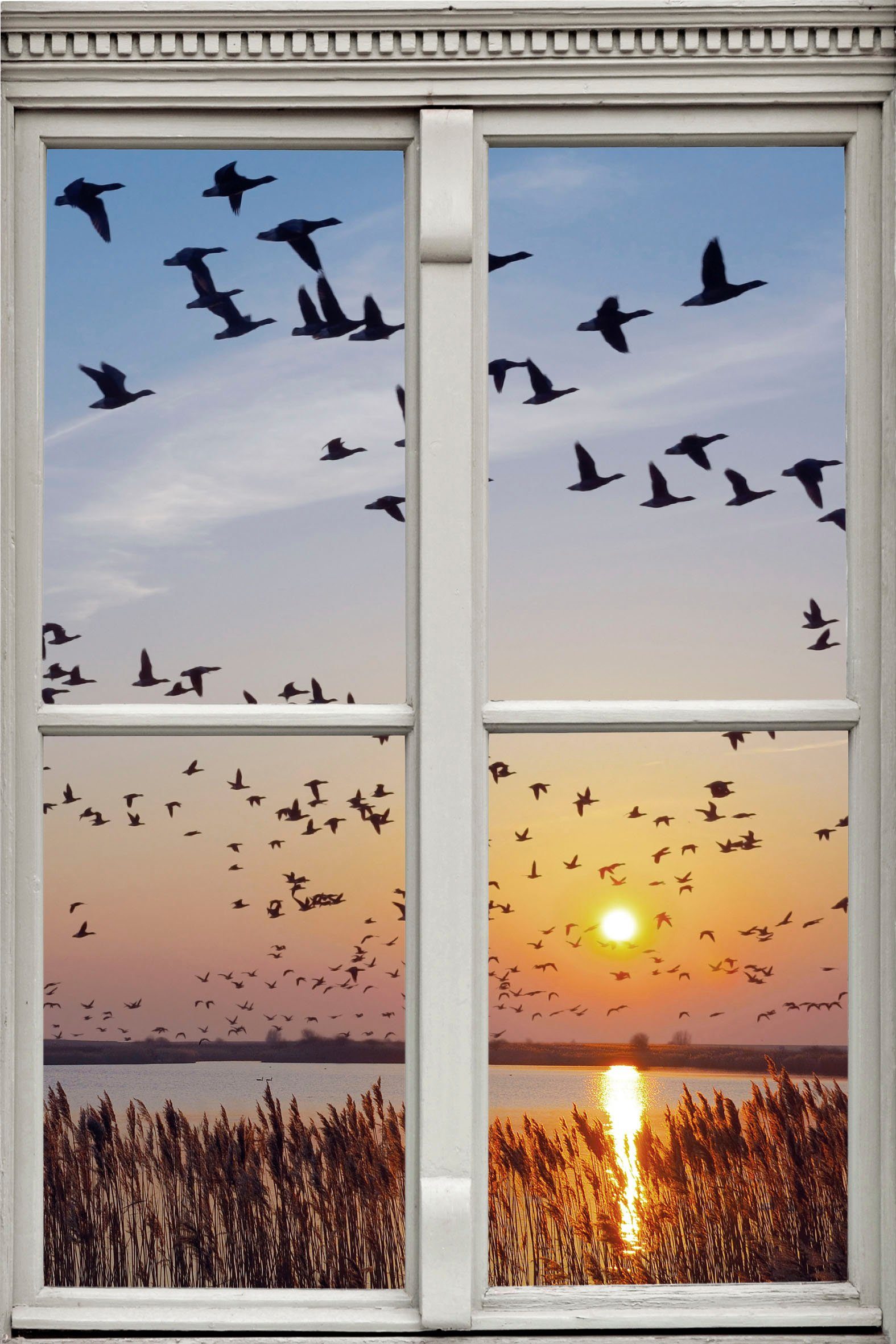 queence Wandfolie Vogelvlucht Muursticker, muurdecoratie, zelfklevend, 3D, raam