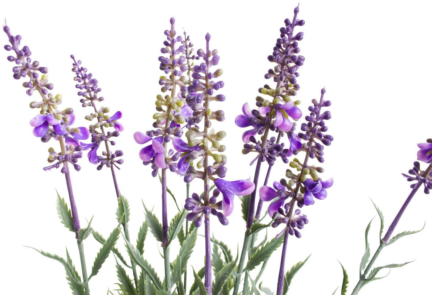 Botanic-Haus Kunst-potplanten Lavendel - kruidenpotje (1 stuk)