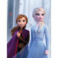 komar poster frozen sisters in the wood multicolor