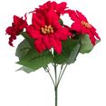 botanic-haus kunstbloem kerstster met 6 bloemen rood
