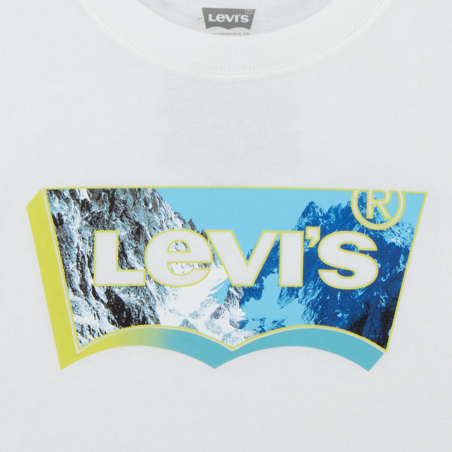 Levi's Kidswear T-shirt met batwing-logo-print met landschap in 3d-look