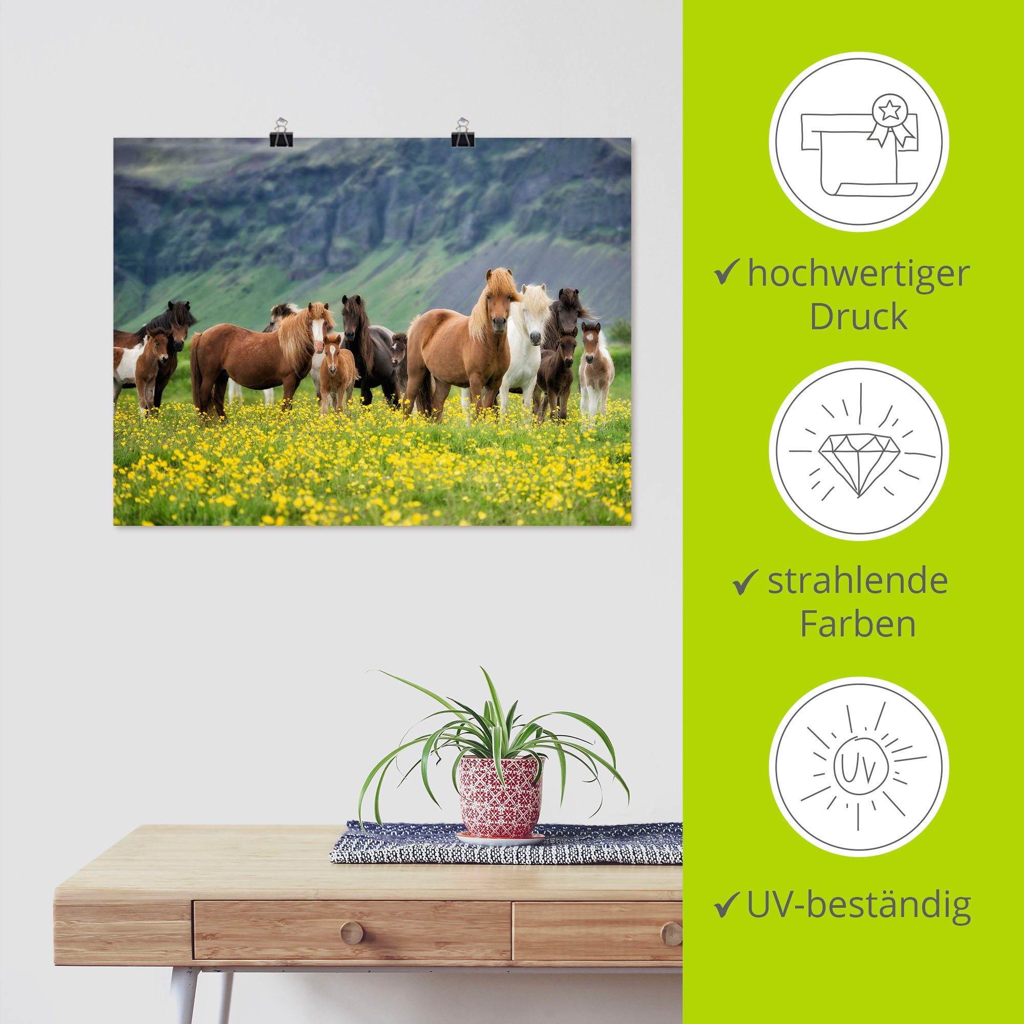 Artland Artprint IJslandse paarden VII als artprint op linnen, poster, muursticker in verschillende maten