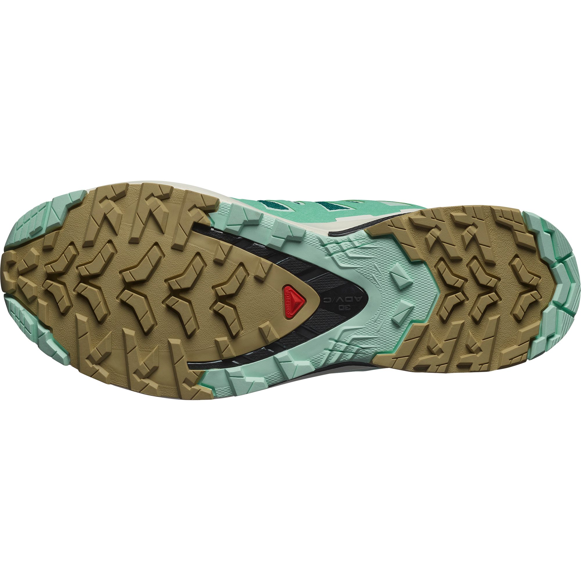 Salomon Trailrunningschoenen XA PRO 3D V9 GORE-TEX