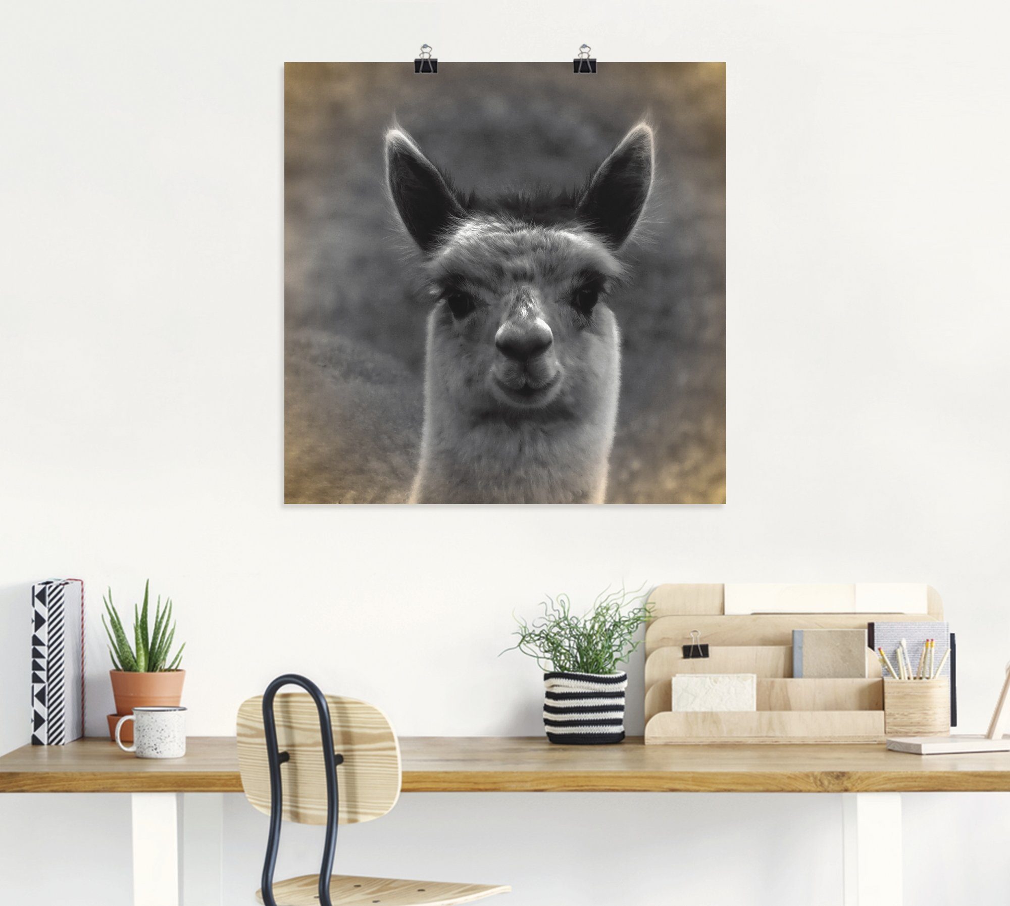 Artland Artprint Alpaca blik als artprint van aluminium, artprint voor buiten, artprint op linnen, poster in verschillende maten. maten